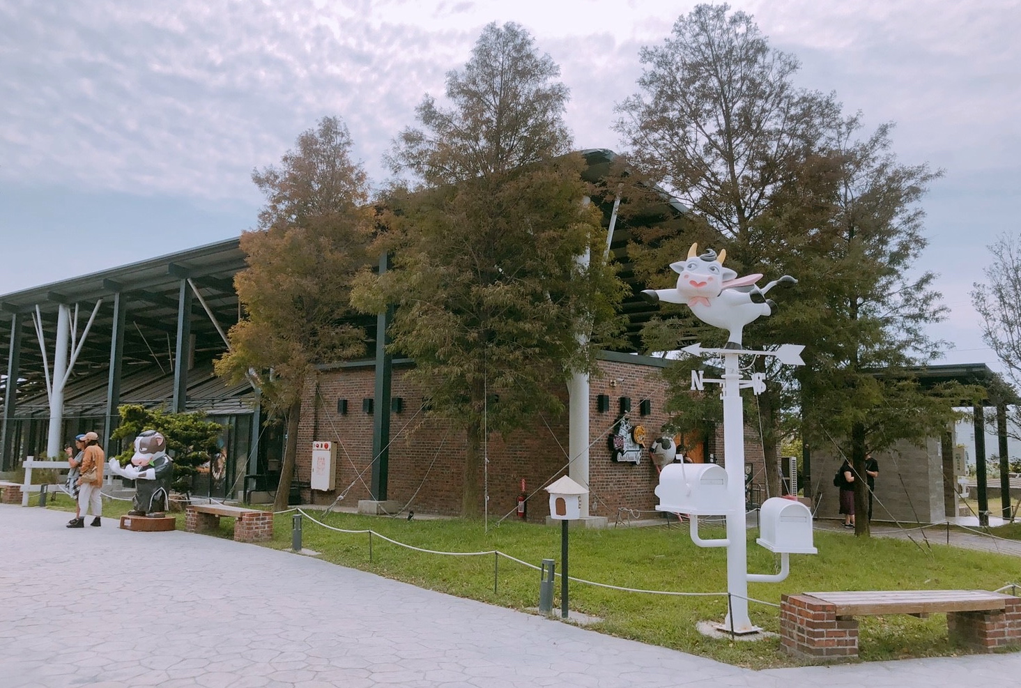 【雲林 千巧谷牛樂園牧場】免費入園/停車。牛牛家餵牧草、萌牛拍照、沙坑區