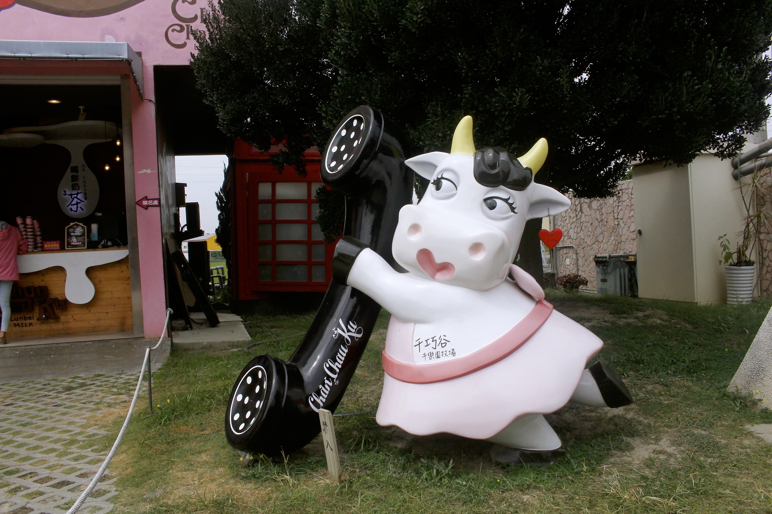 【雲林 千巧谷牛樂園牧場】免費入園/停車。牛牛家餵牧草、萌牛拍照、沙坑區