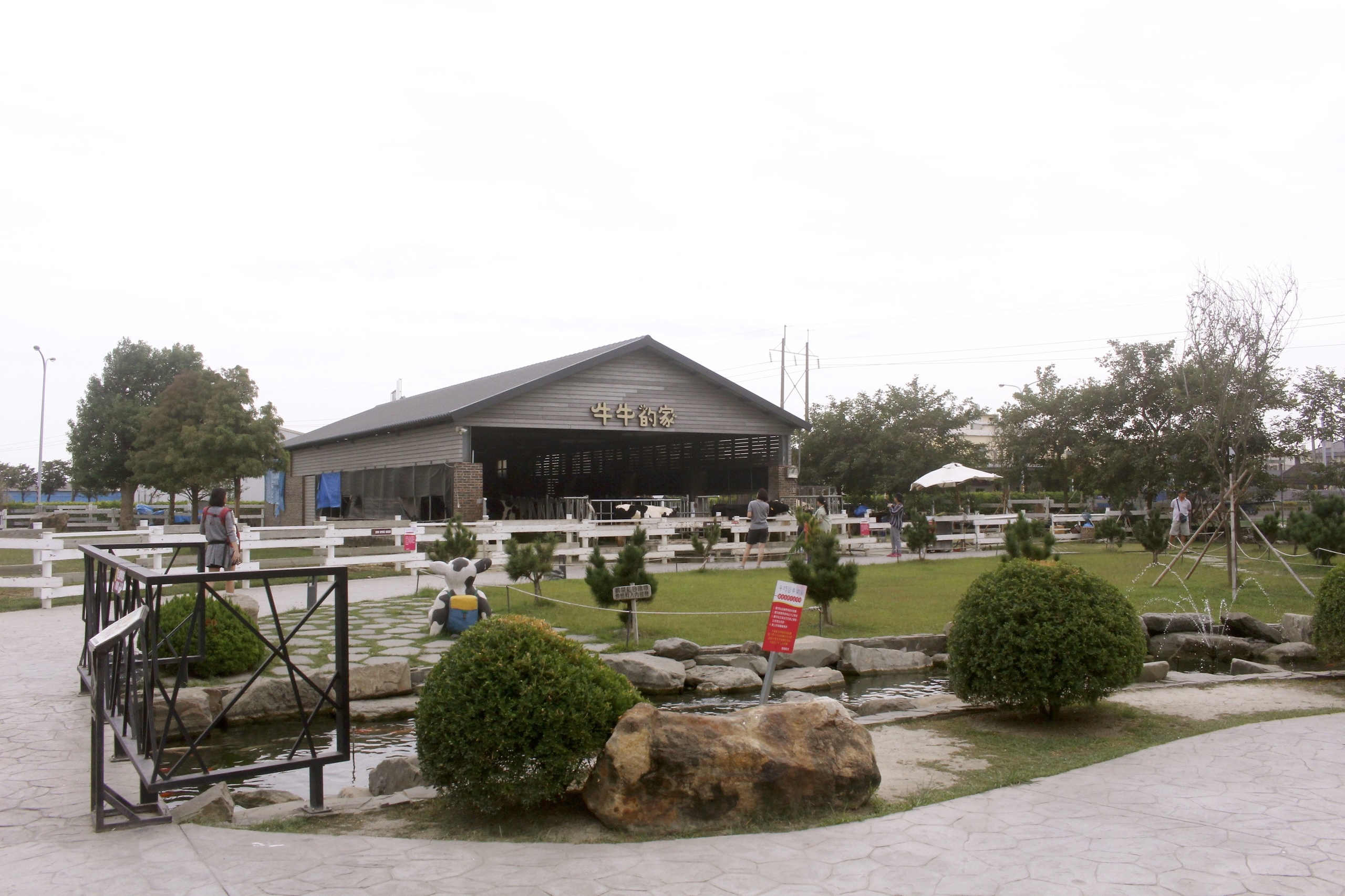 【雲林 千巧谷牛樂園牧場】免費入園/停車。牛牛家餵牧草、萌牛拍照、沙坑區