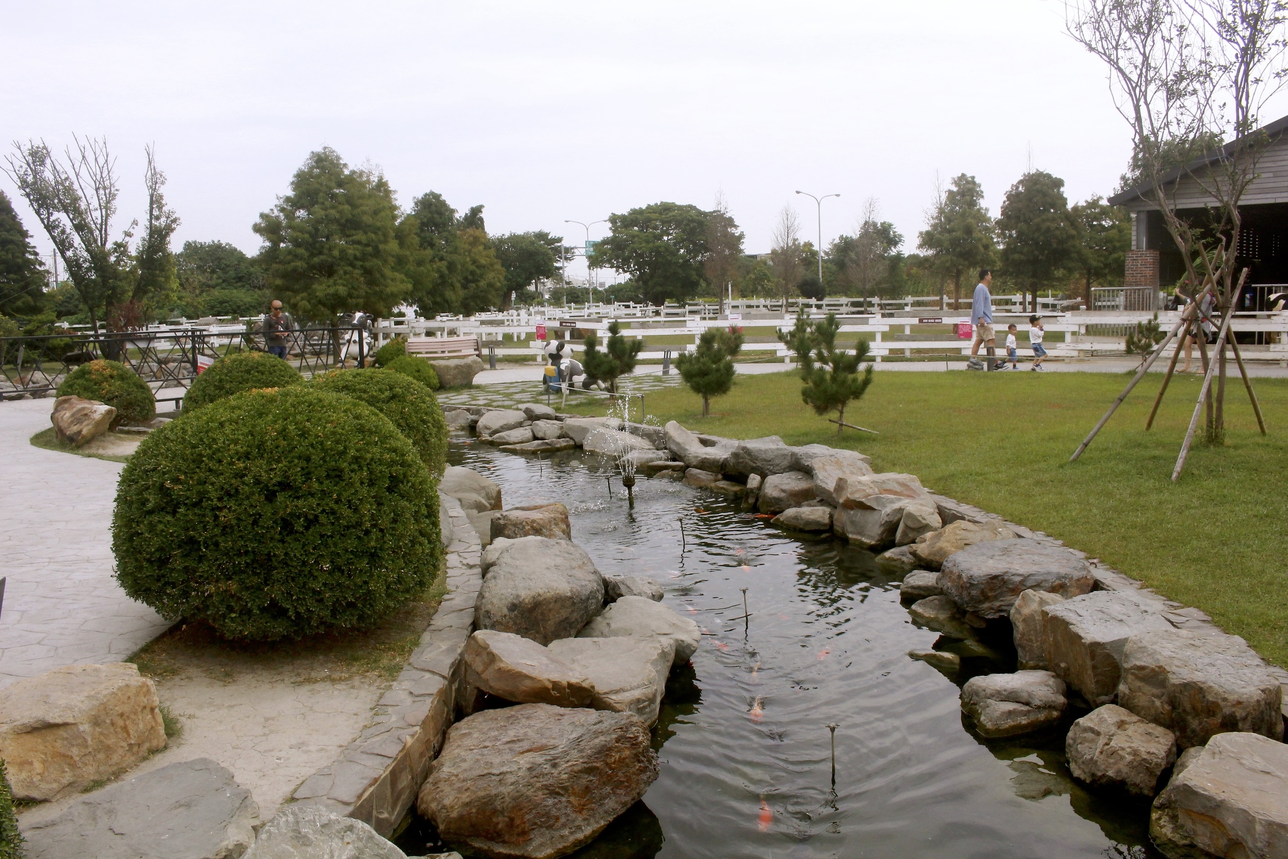 【雲林 千巧谷牛樂園牧場】免費入園/停車。牛牛家餵牧草、萌牛拍照、沙坑區
