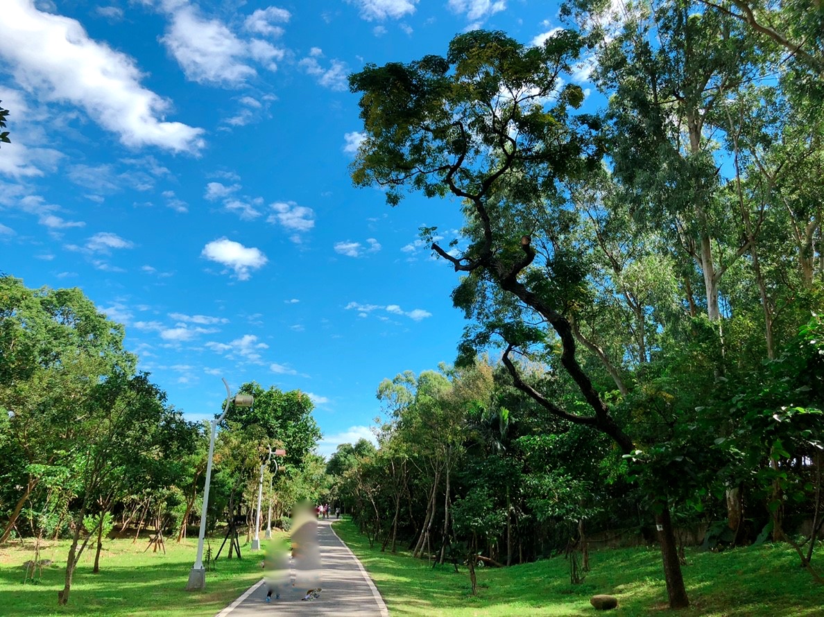 【新北 林口樂活公園】超立體捷運主題溜滑梯。四米高超快速來不及尖叫啦!!!