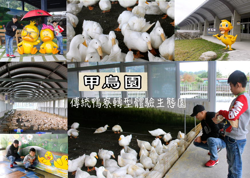 ㄚㄚ生態園區,宜蘭景點,甲鳥園 @艾瑪  吃喝玩樂札記
