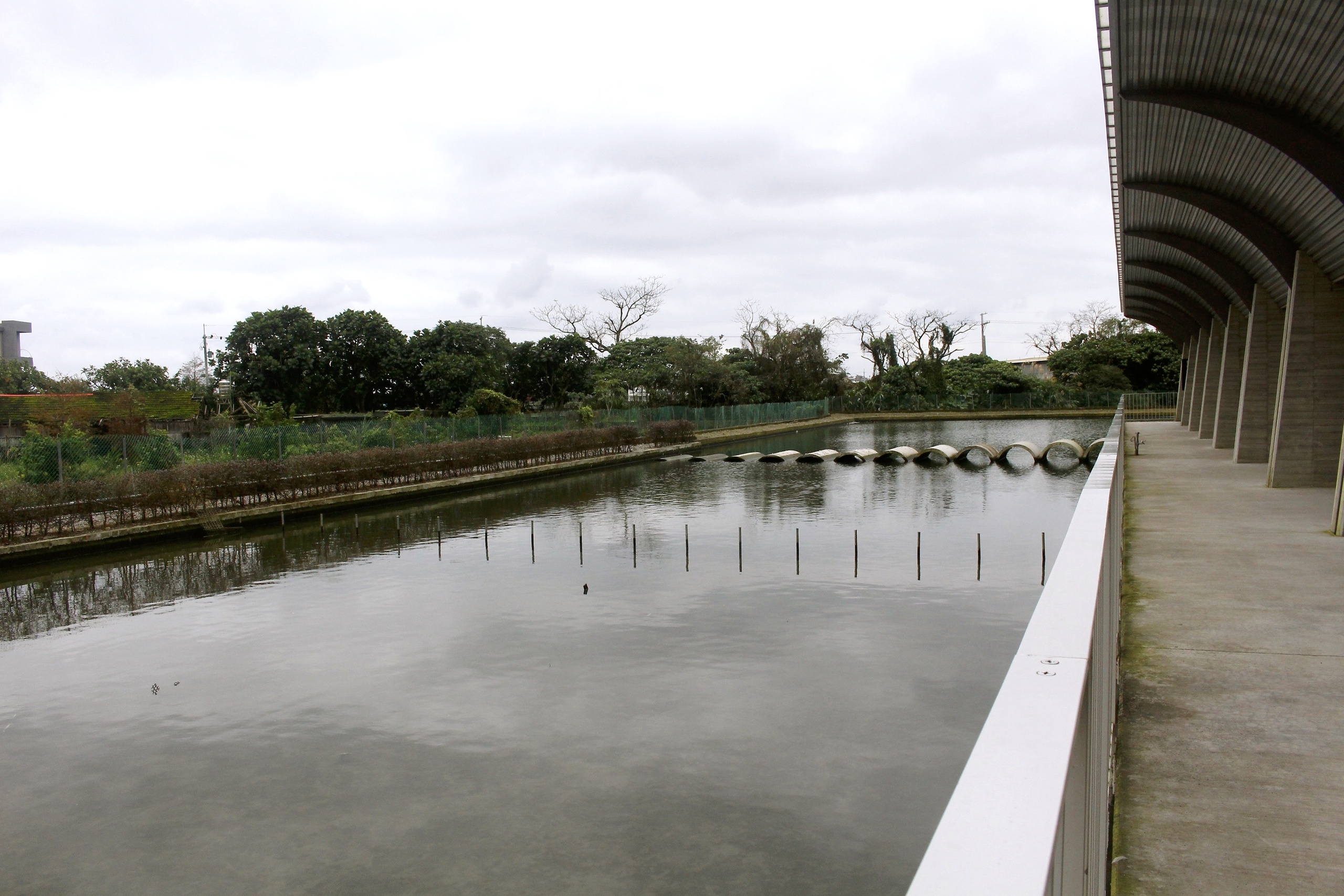 ㄚㄚ生態園區,宜蘭景點,甲鳥園 ㄚㄚ生態園區,宜蘭景點,甲鳥園