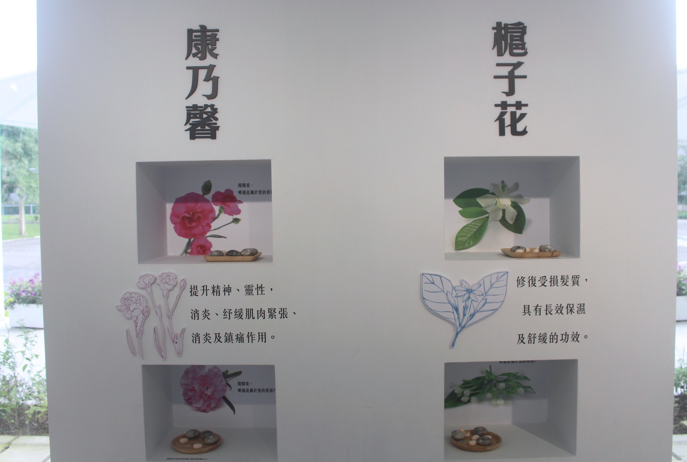 【宜蘭 Herbelle龍潭湖悠活園區】73個白色貨櫃建築拍照點。龍潭湖公園「龍掌坡」溜滑梯!!!