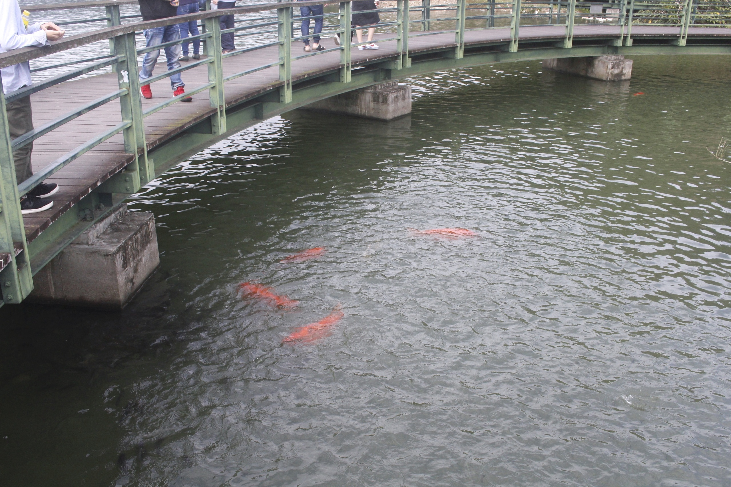 【宜蘭 Herbelle龍潭湖悠活園區】73個白色貨櫃建築拍照點。龍潭湖公園「龍掌坡」溜滑梯!!!