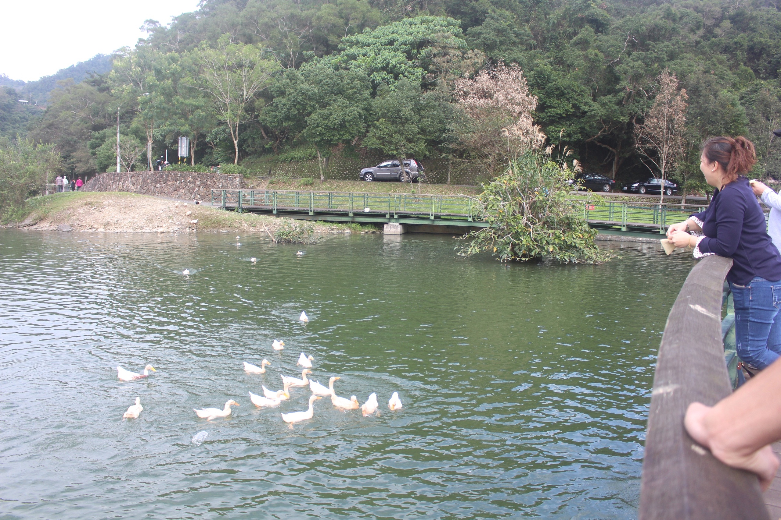 【宜蘭 Herbelle龍潭湖悠活園區】73個白色貨櫃建築拍照點。龍潭湖公園「龍掌坡」溜滑梯!!!