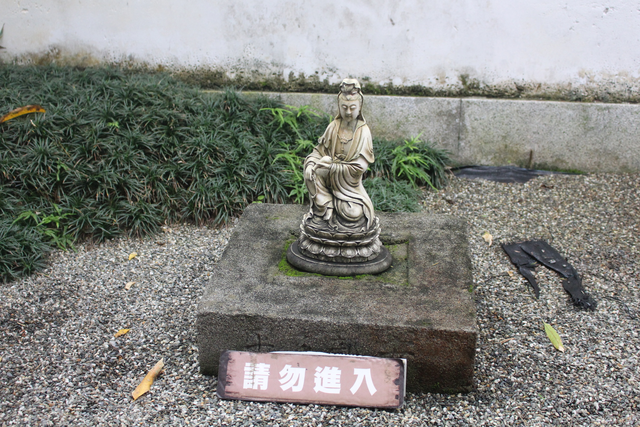 【花蓮 吉安慶修院】日本傳統佛堂必遊三級古蹟。銅板門票可折抵/免費停車