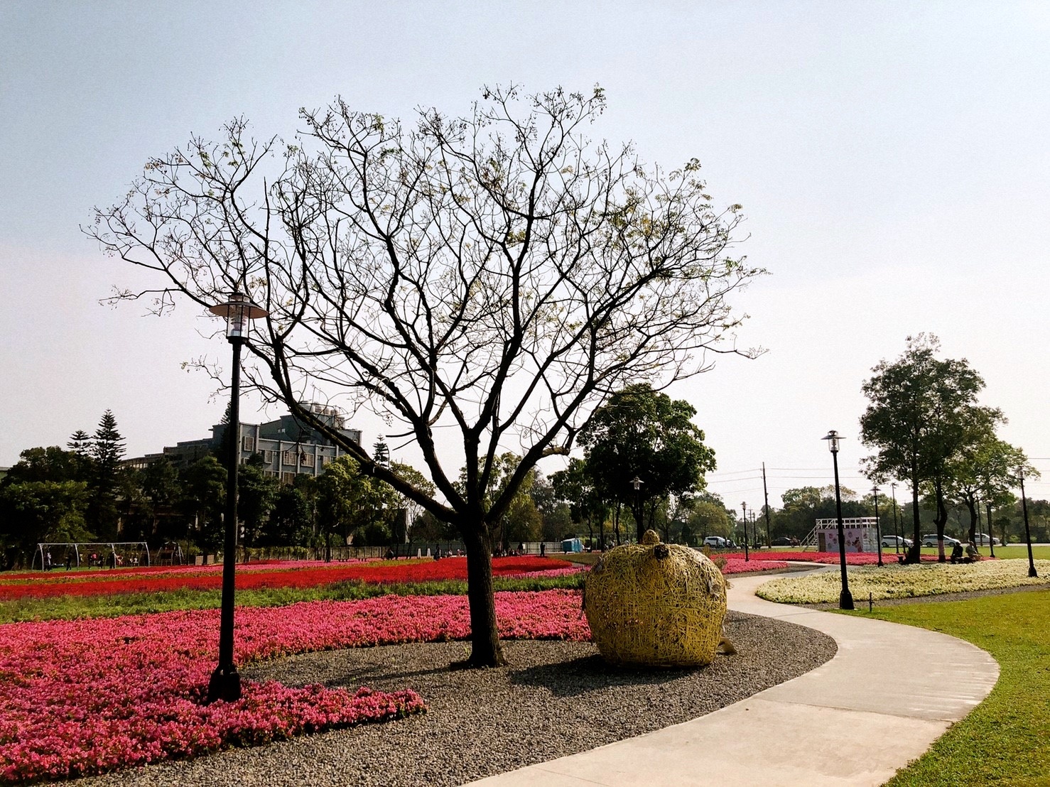【桃園 客家園區共融式遊戲場】藏匿於浪漫花海。以鞦韆為主題的客家公園 【桃園 客家園區共融式遊戲場】藏匿於浪漫花海。以鞦韆為主題的客家公園