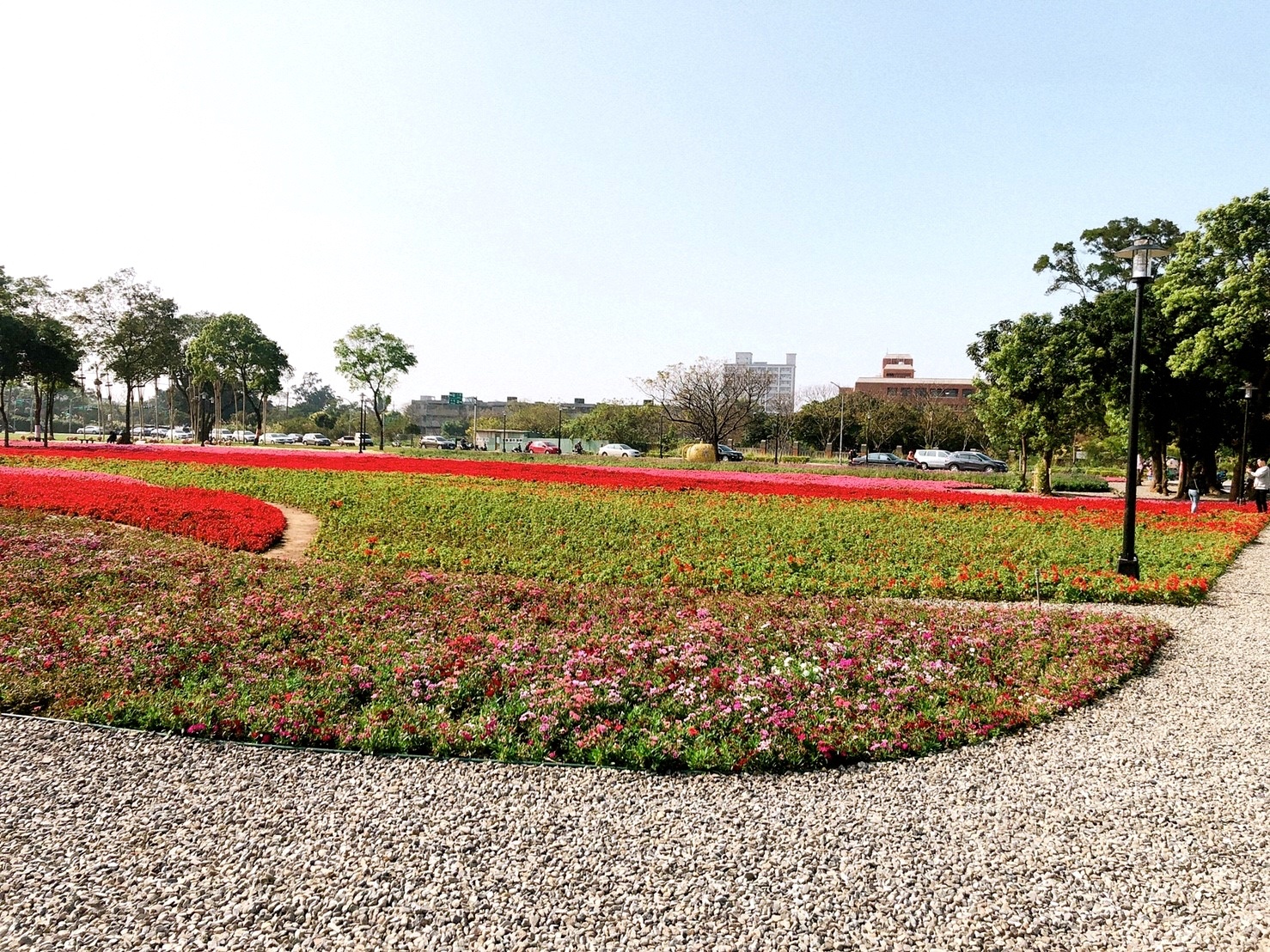 【桃園 客家園區共融式遊戲場】藏匿於浪漫花海。以鞦韆為主題的客家公園 【桃園 客家園區共融式遊戲場】藏匿於浪漫花海。以鞦韆為主題的客家公園