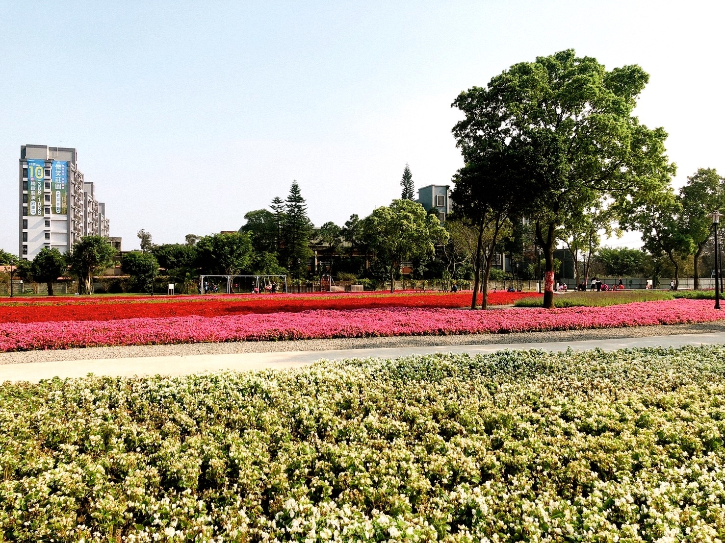 【桃園 客家園區共融式遊戲場】藏匿於浪漫花海。以鞦韆為主題的客家公園 【桃園 客家園區共融式遊戲場】藏匿於浪漫花海。以鞦韆為主題的客家公園