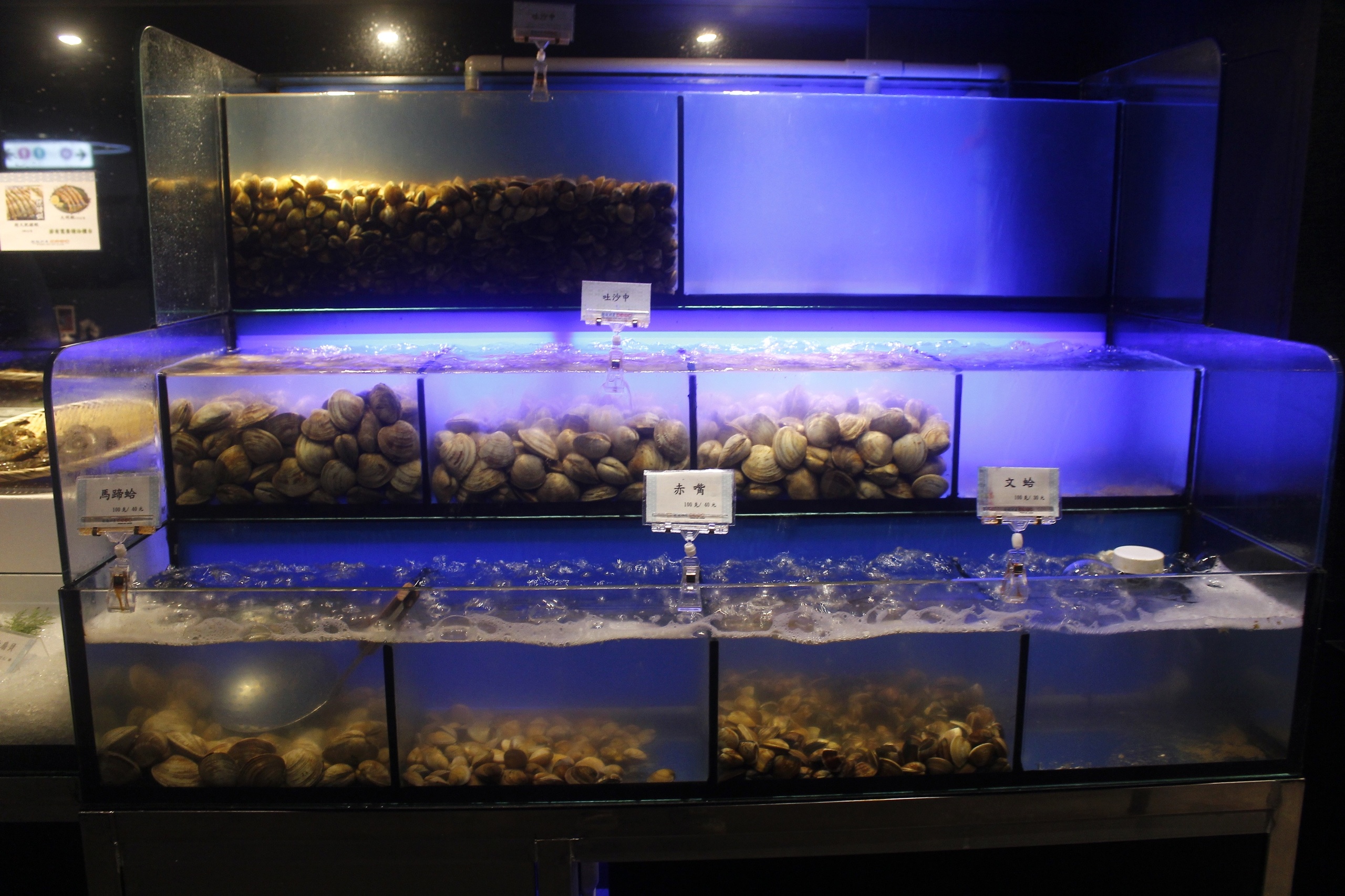 【桃園 超越水產】肉多多品牌也有超市火鍋。活體海鮮水族箱/提供免費蒸籠