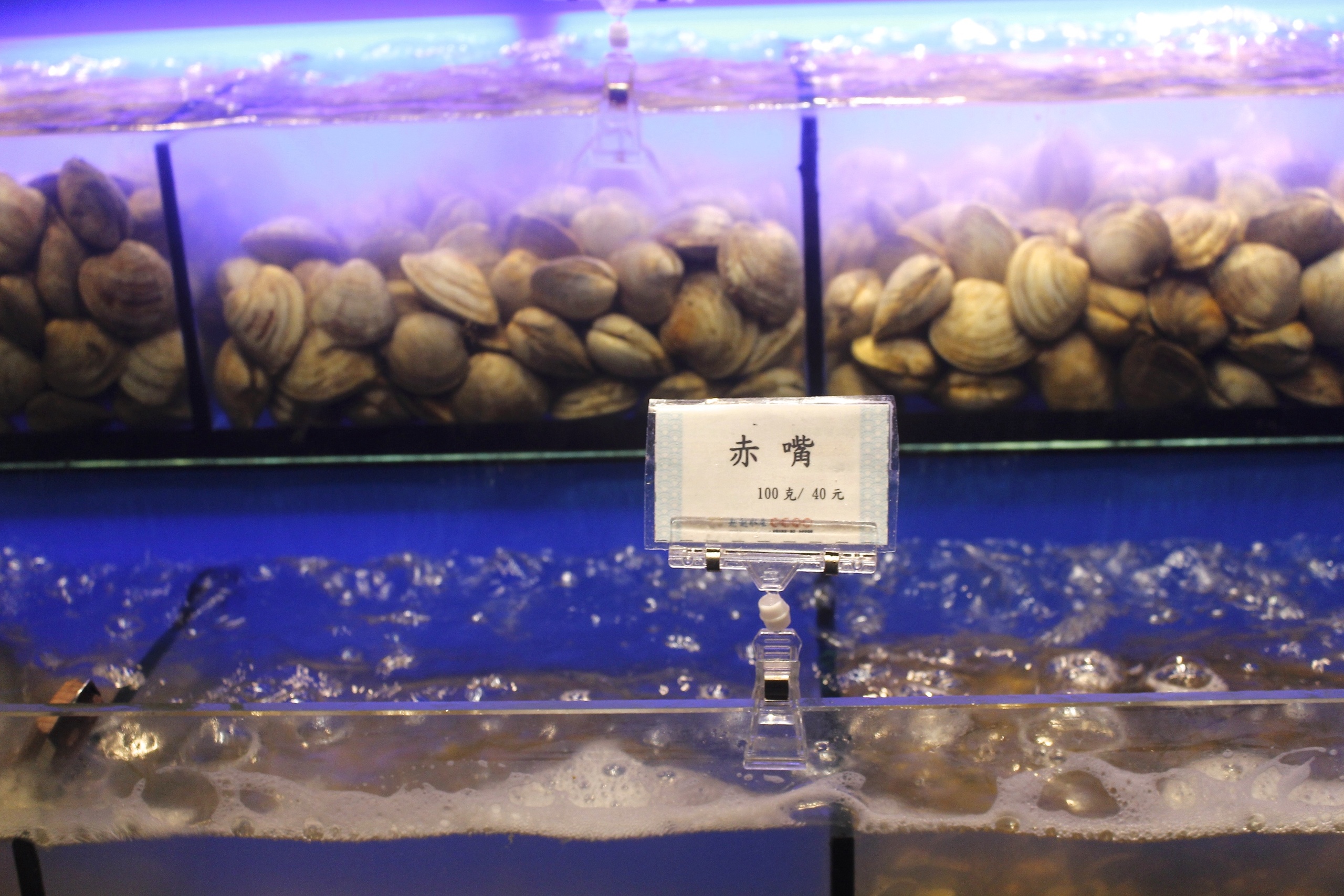 【桃園 超越水產】肉多多品牌也有超市火鍋。活體海鮮水族箱/提供免費蒸籠