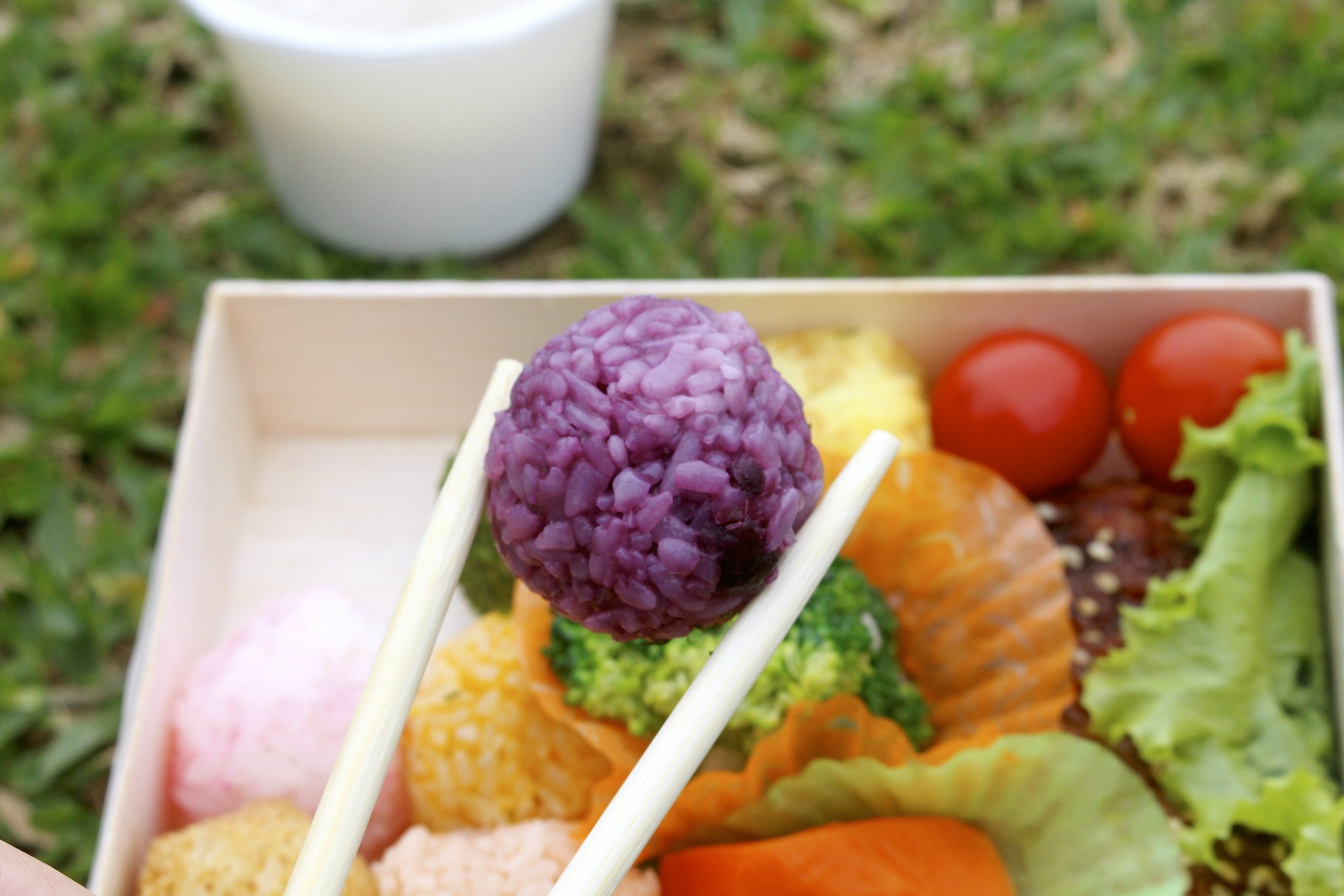【桃園 一勝米製舖】又到春季野餐趴季！充滿少女心「桜弁当」超萌六彩小飯丸 