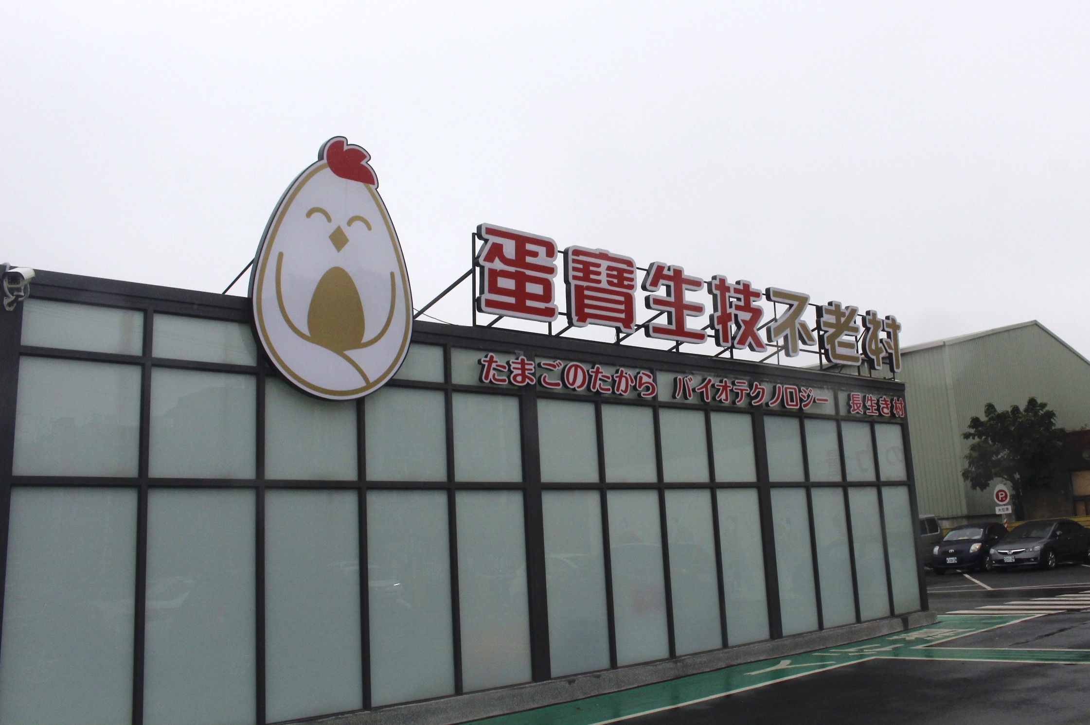 【桃園 蛋寶生技不老村】人氣打卡點紅色鳥居、江戶時代大街。伴手禮來盒“達人手藝蛋塔”吧