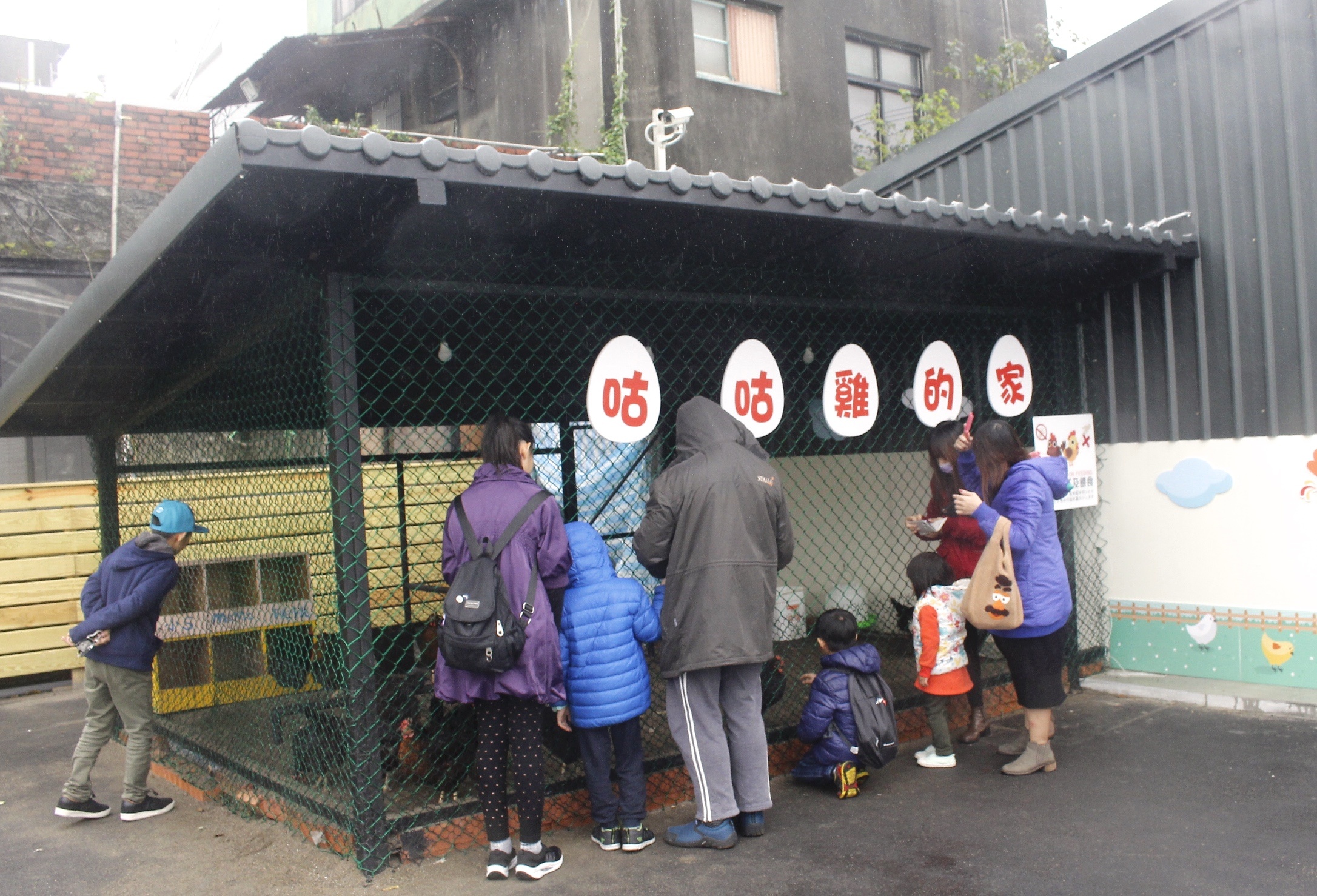 【桃園 蛋寶生技不老村】人氣打卡點紅色鳥居、江戶時代大街。伴手禮來盒“達人手藝蛋塔”吧