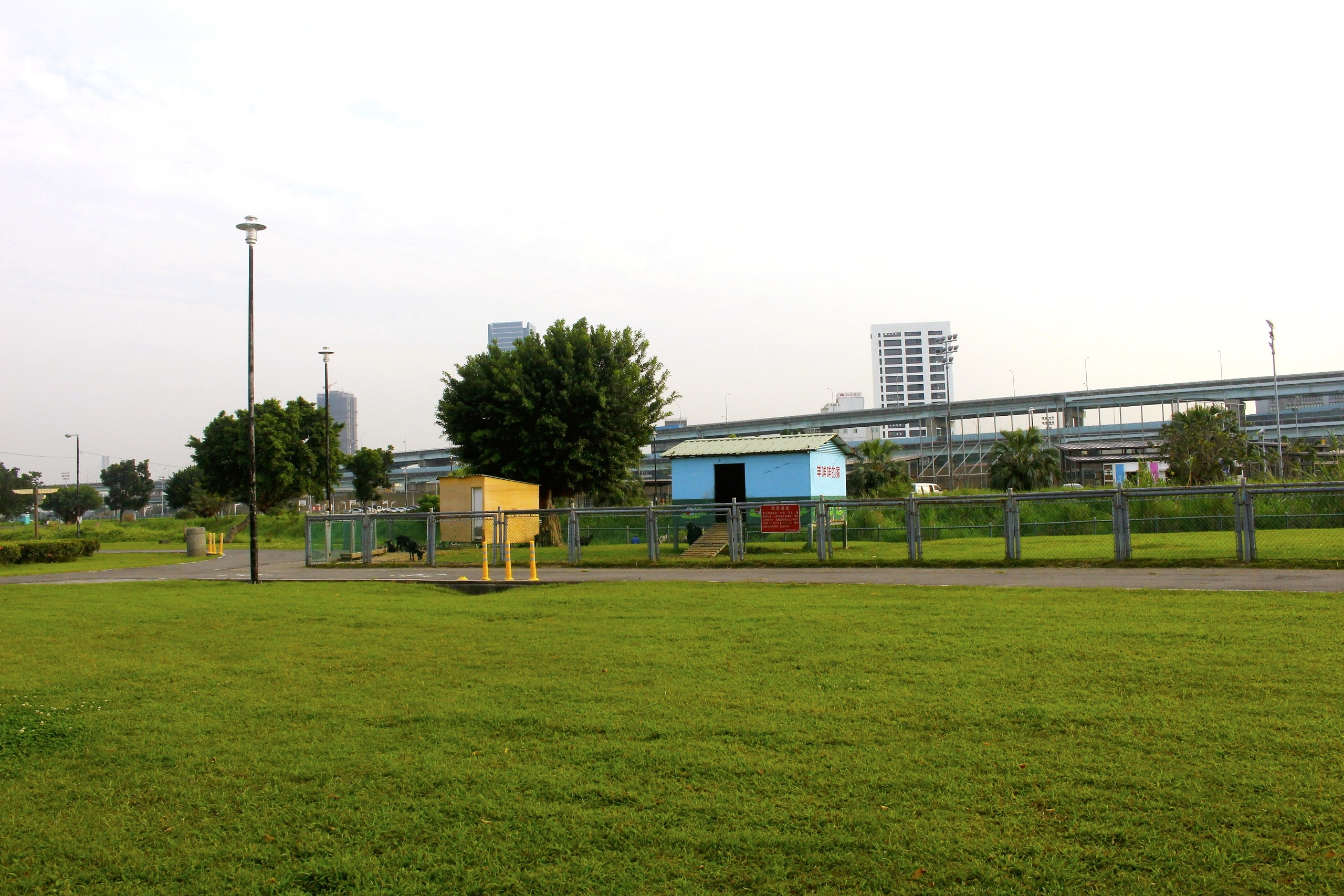 【新北 二重疏洪親水公園】免費餵食「羊咩咩的家」。暢遊自行車道/遙控賽車場/三種球場 【新北 二重疏洪親水公園】免費餵食「羊咩咩的家」。暢遊自行車道/遙控賽車場/三種球場