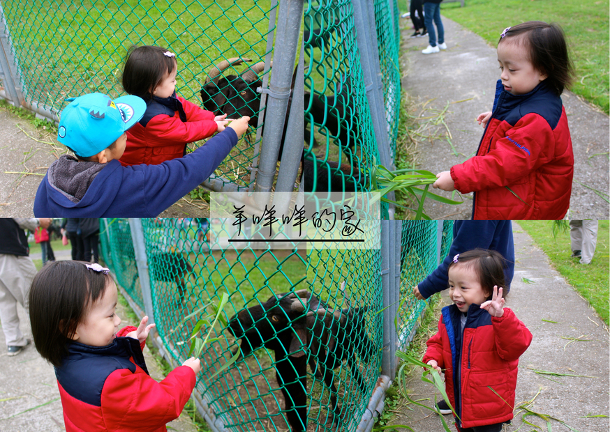 【新北 二重疏洪親水公園】免費餵食「羊咩咩的家」。暢遊自行車道/遙控賽車場/三種球場 【新北 二重疏洪親水公園】免費餵食「羊咩咩的家」。暢遊自行車道/遙控賽車場/三種球場