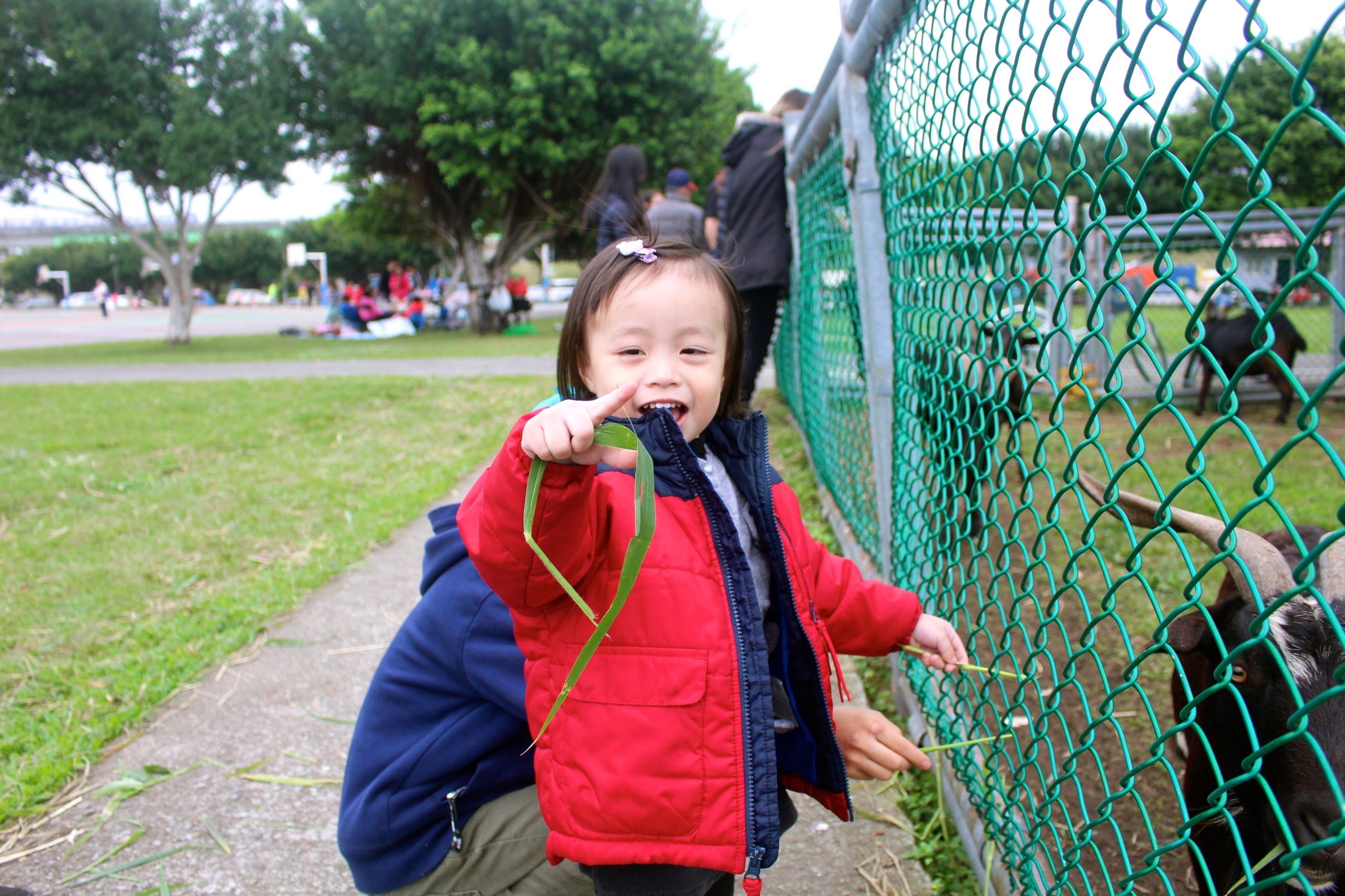 【新北 二重疏洪親水公園】免費餵食「羊咩咩的家」。暢遊自行車道/遙控賽車場/三種球場 【新北 二重疏洪親水公園】免費餵食「羊咩咩的家」。暢遊自行車道/遙控賽車場/三種球場