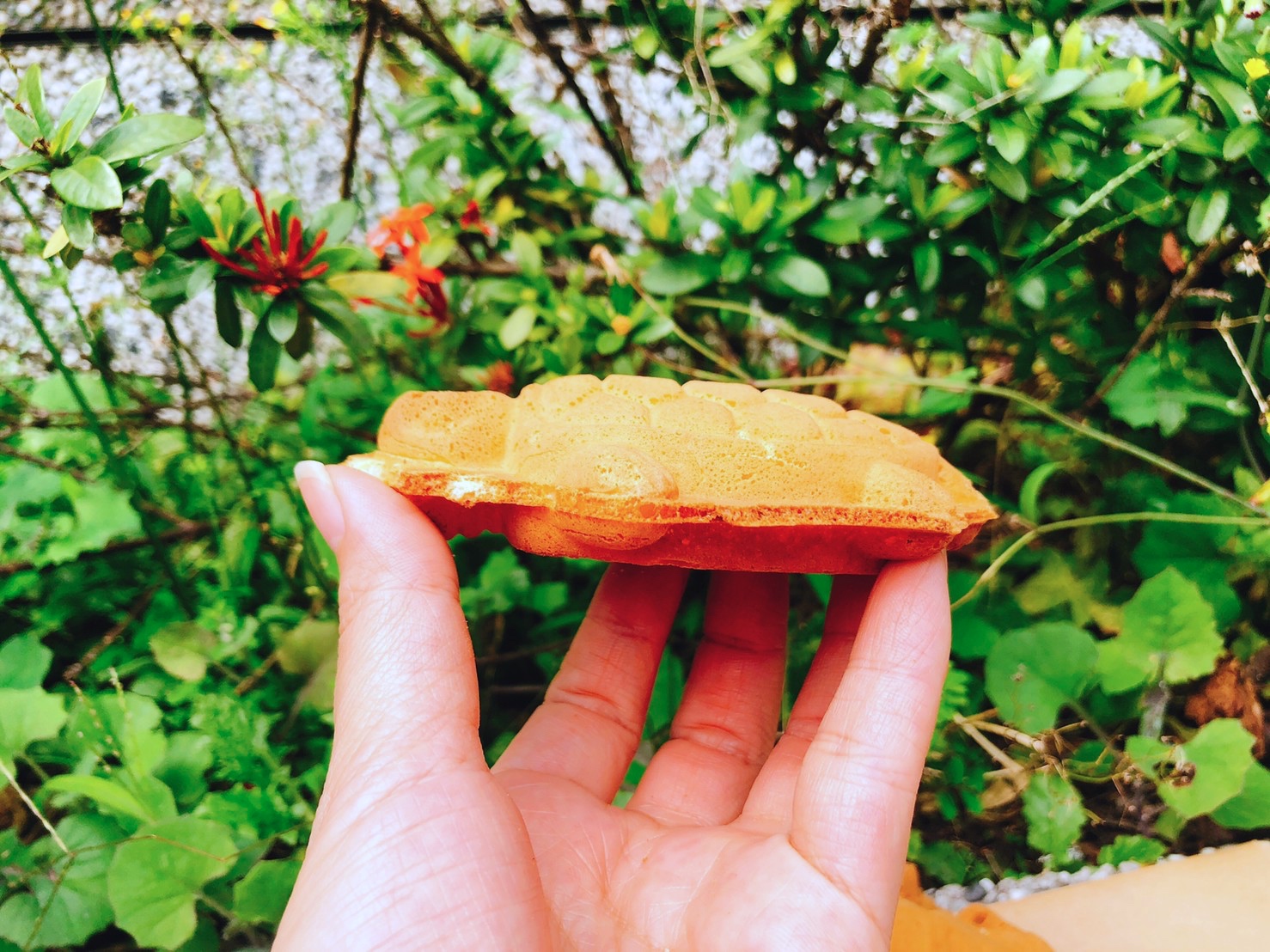 【台北 吳興街雞蛋糕】比臉大一片式的281雞蛋糕vs在地人推薦古早味雞蛋糕
