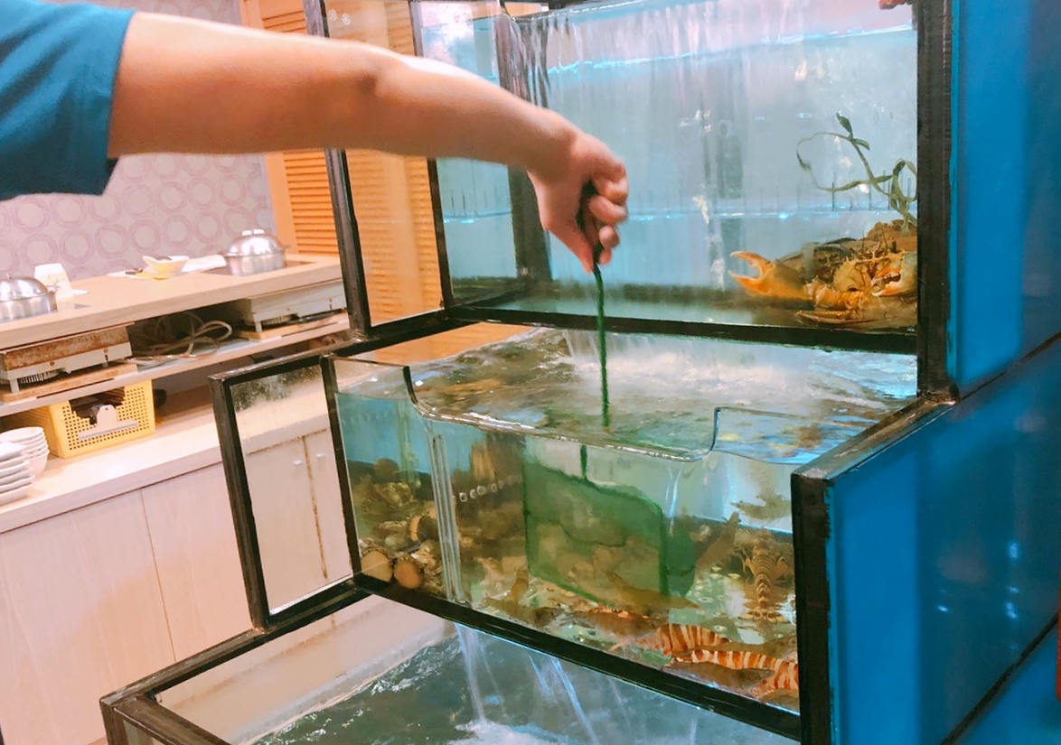 【桃園 頂湯涮涮鍋】跳蝦活蟹健康鍋物。大嗑「霸王蝦鍋」活體明蝦好肥美.蛤蠣超過50元硬幣大小