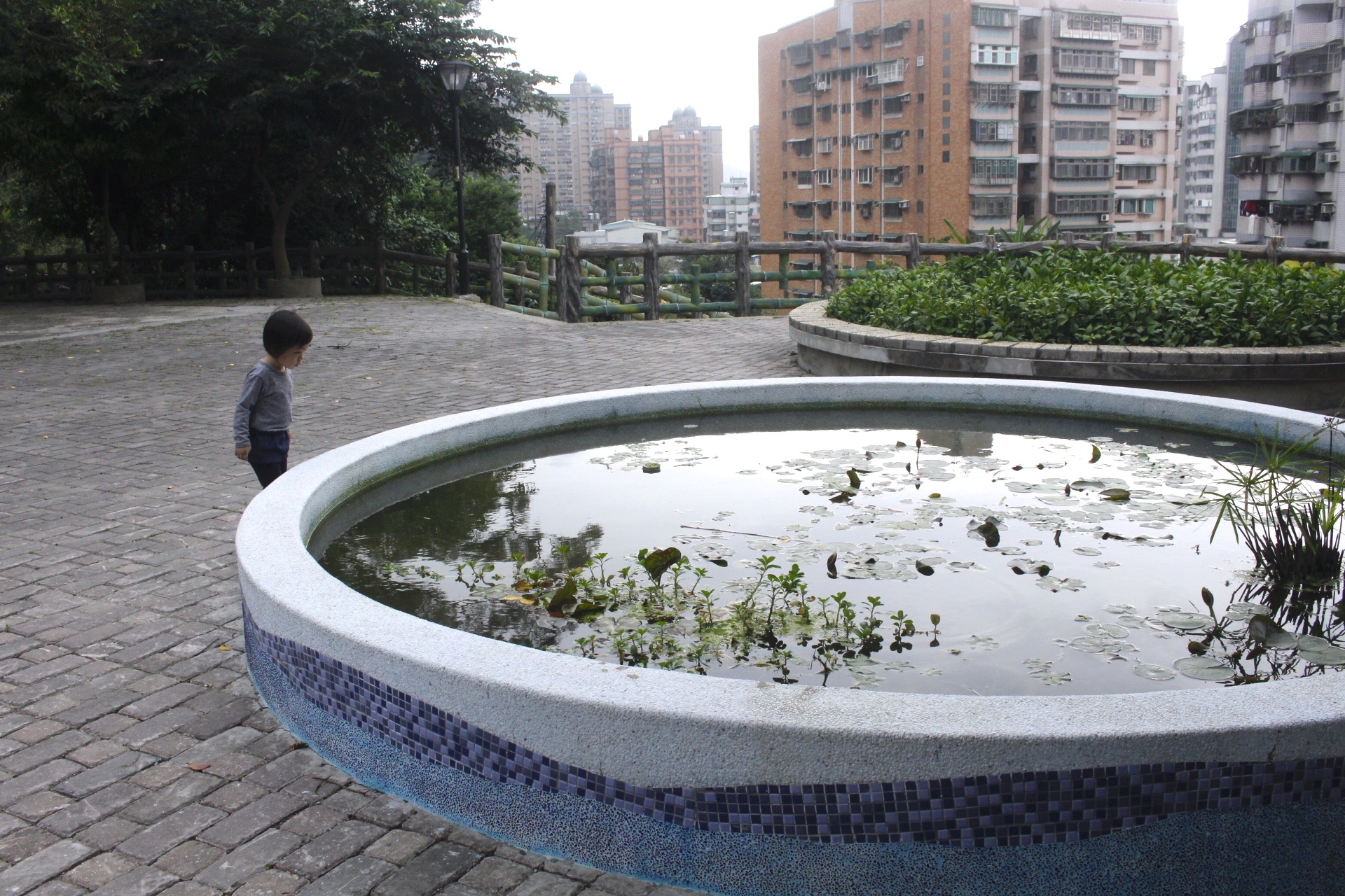 【新北 三峽中山公園】新景點30公尺「彩虹樹藤溜滑梯」。兒童版「跑酷棧道」需俱備小勇氣喔! 【新北 三峽中山公園】新景點30公尺「彩虹樹藤溜滑梯」。兒童版「跑酷棧道」需俱備小勇氣喔!