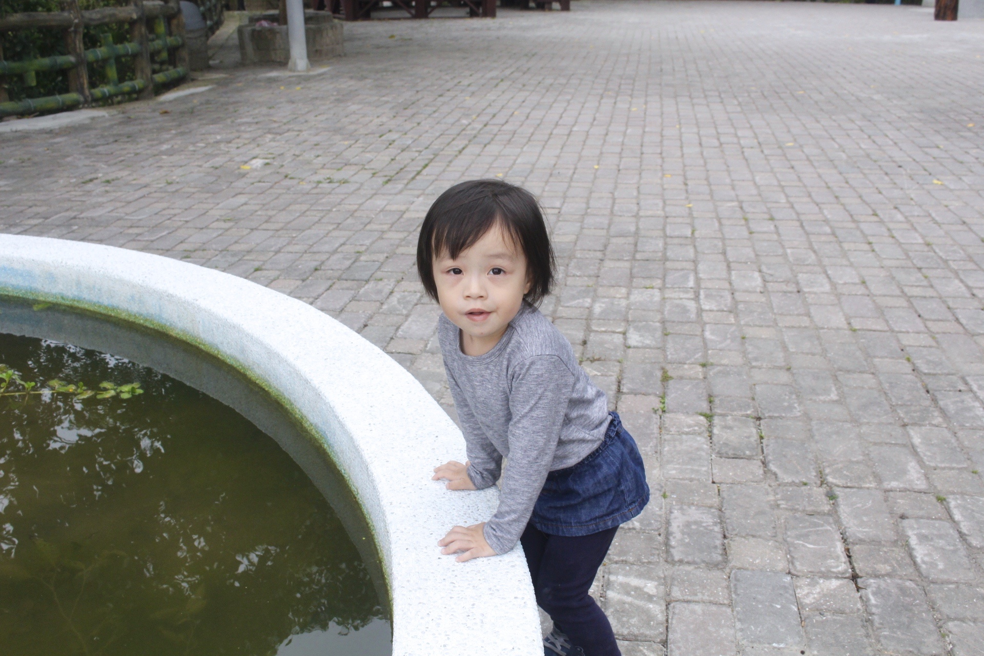 【新北 三峽中山公園】新景點30公尺「彩虹樹藤溜滑梯」。兒童版「跑酷棧道」需俱備小勇氣喔! 【新北 三峽中山公園】新景點30公尺「彩虹樹藤溜滑梯」。兒童版「跑酷棧道」需俱備小勇氣喔!