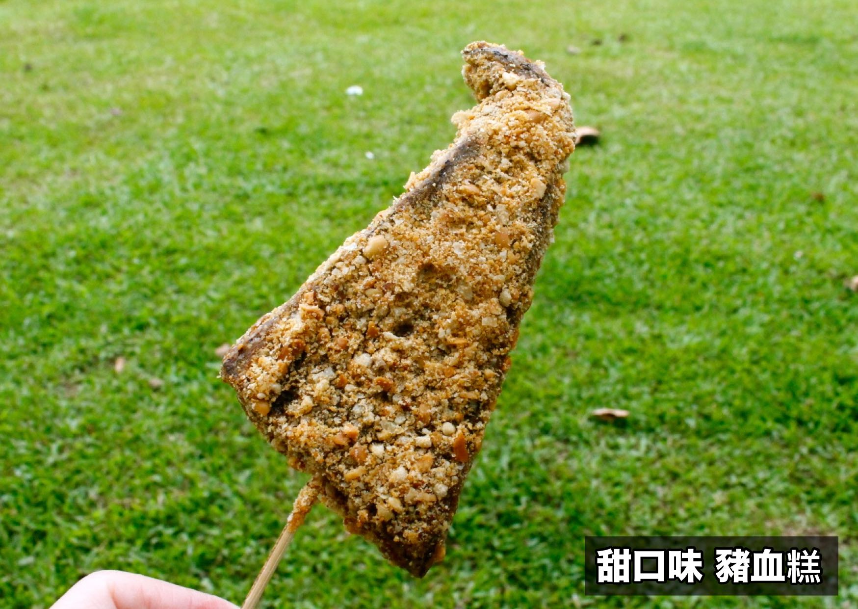 【桃園 豬斧豬血糕】藏身中興路巷弄的小攤車。鹹、甜兩種口味，吃得到花生顆粒、堅果顆粒