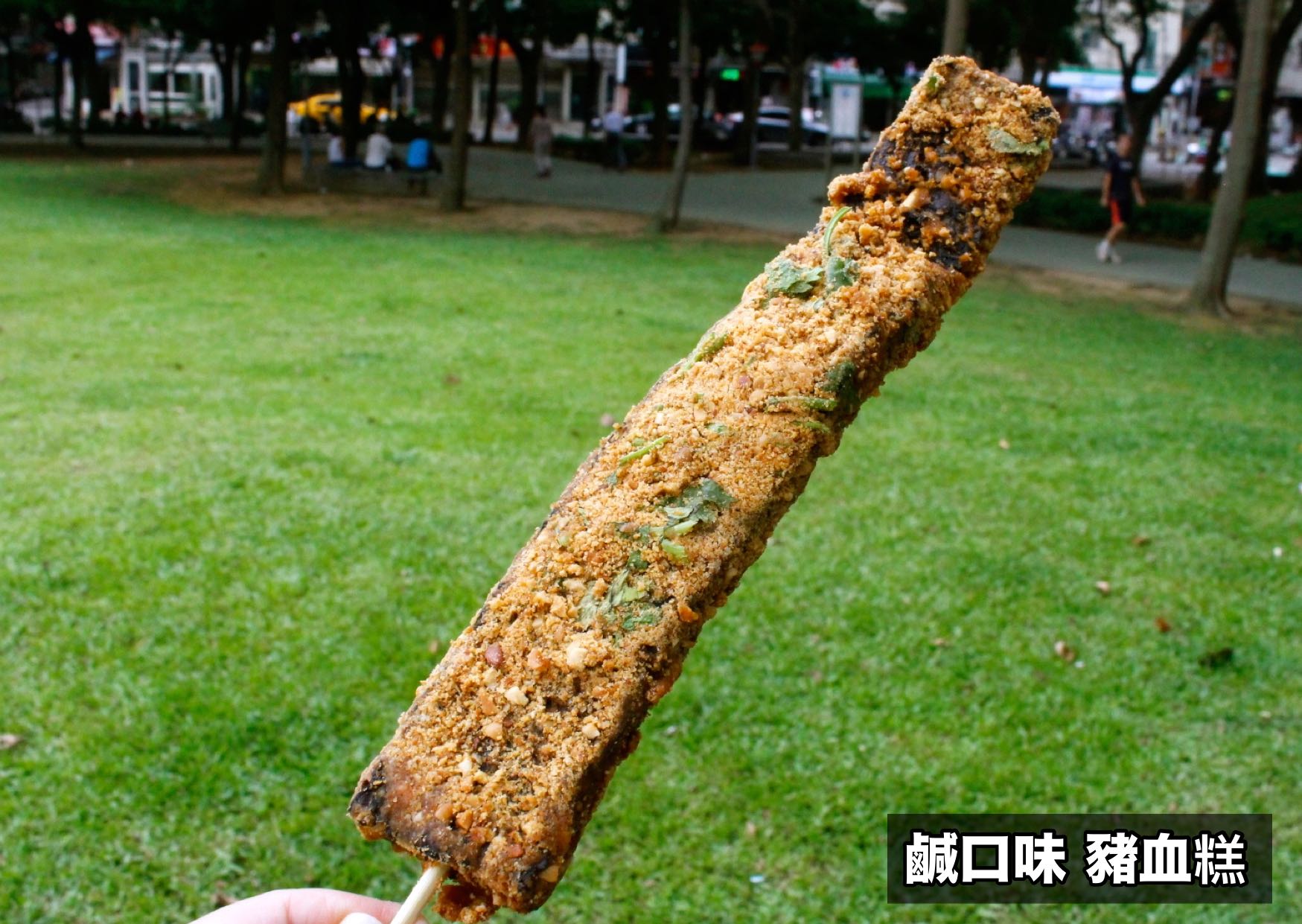【桃園 豬斧豬血糕】藏身中興路巷弄的小攤車。鹹、甜兩種口味,吃得到花生顆粒、堅果顆粒 【桃園 豬斧豬血糕】藏身中興路巷弄的小攤車。鹹、甜兩種口味,吃得到花生顆粒、堅果顆粒