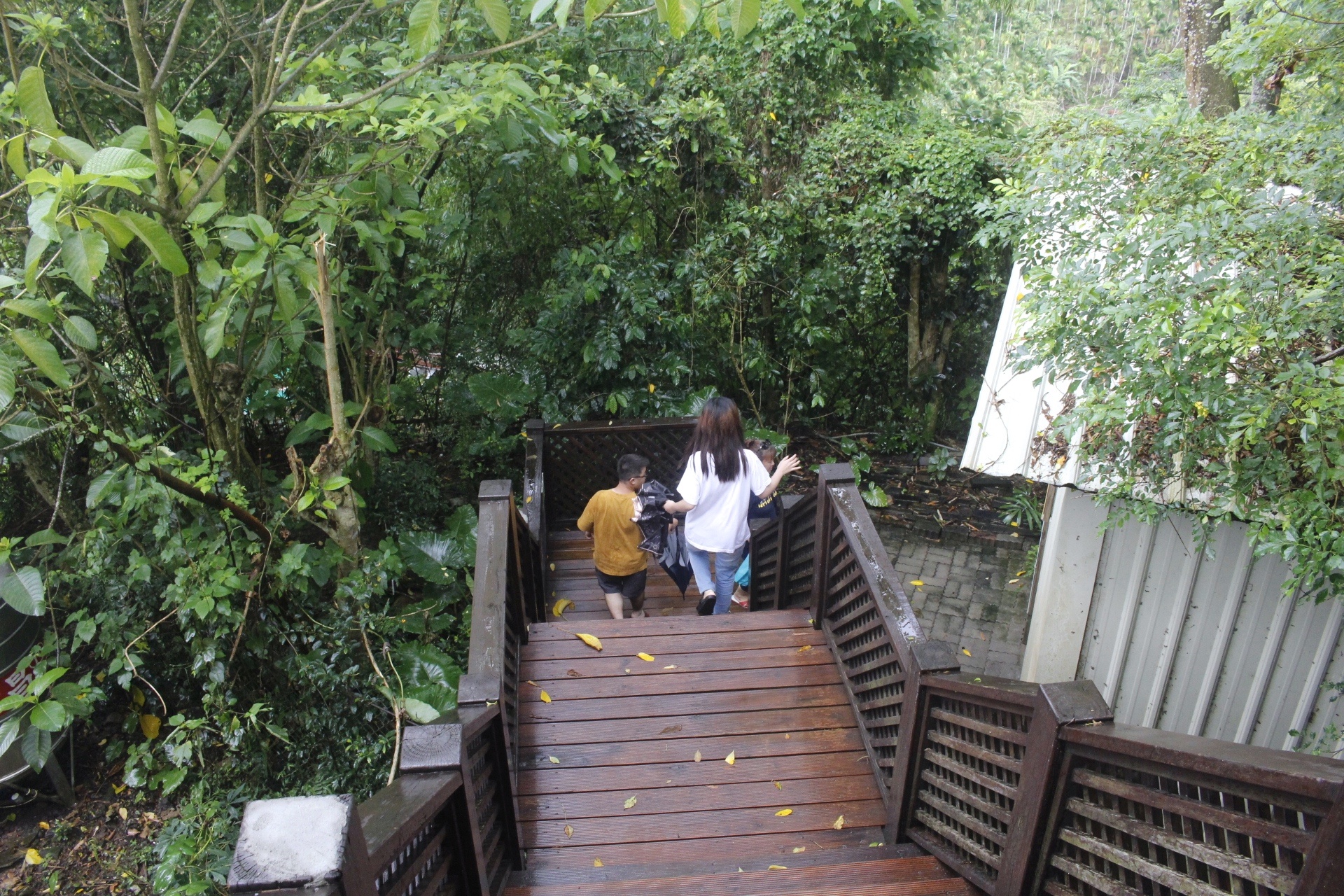 嘉義景點,獨角仙農場,親子旅遊,農場,沙坑,公園,遊戲場,小火車,動物