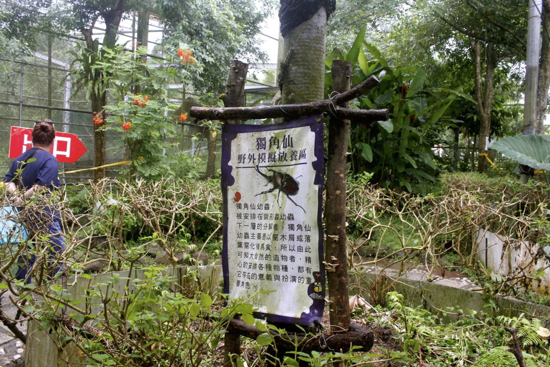 嘉義景點,獨角仙農場,親子旅遊,農場,沙坑,公園,遊戲場,小火車,動物