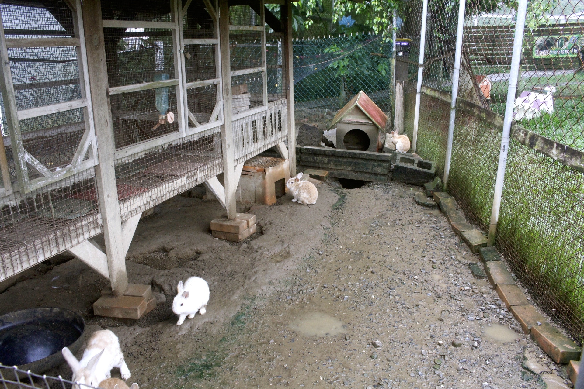 嘉義景點,獨角仙農場,親子旅遊,農場,沙坑,公園,遊戲場,小火車,動物