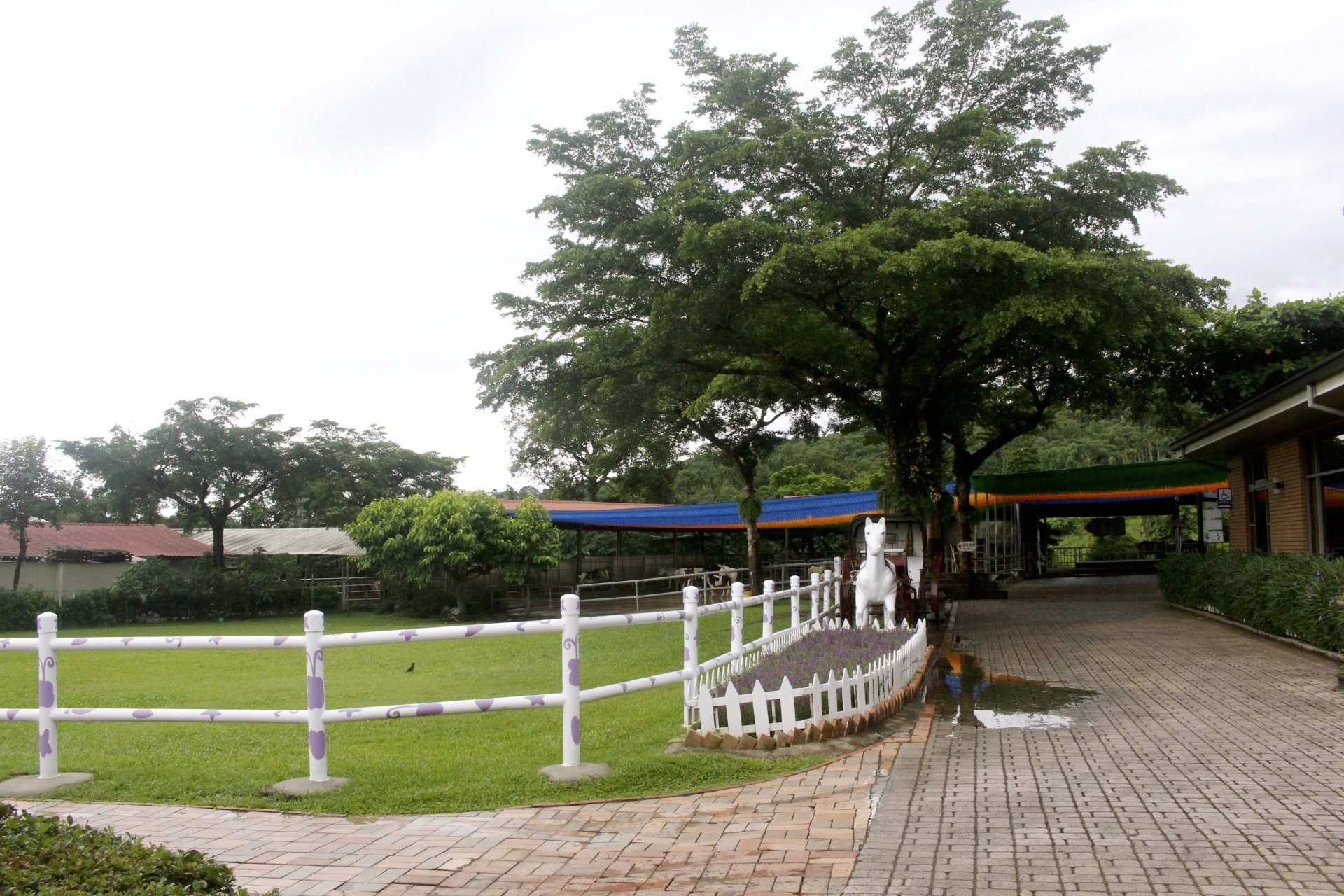 嘉義景點,獨角仙農場,親子旅遊,農場,沙坑,公園,遊戲場,小火車,動物