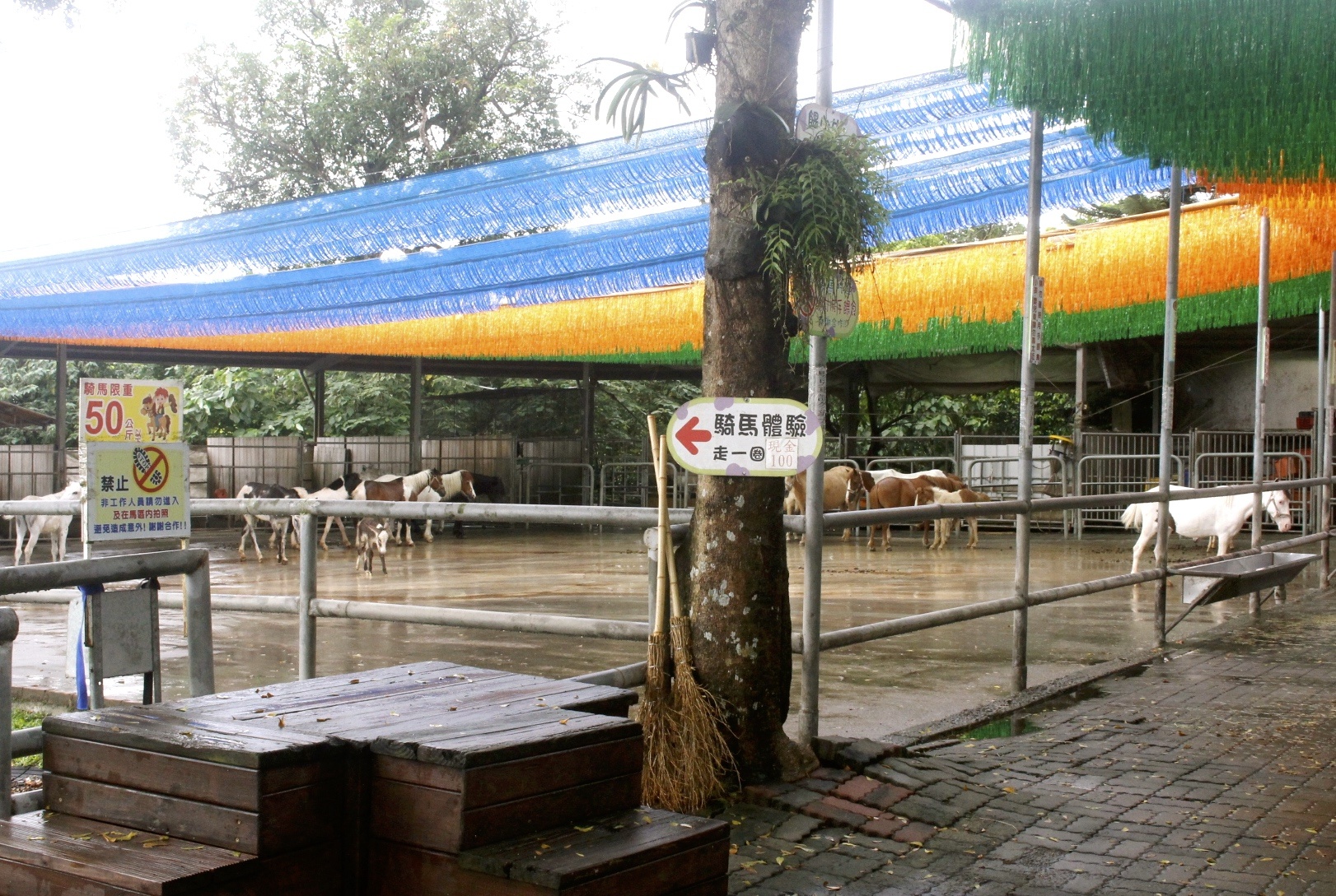 嘉義景點,獨角仙農場,親子旅遊,農場,沙坑,公園,遊戲場,小火車,動物