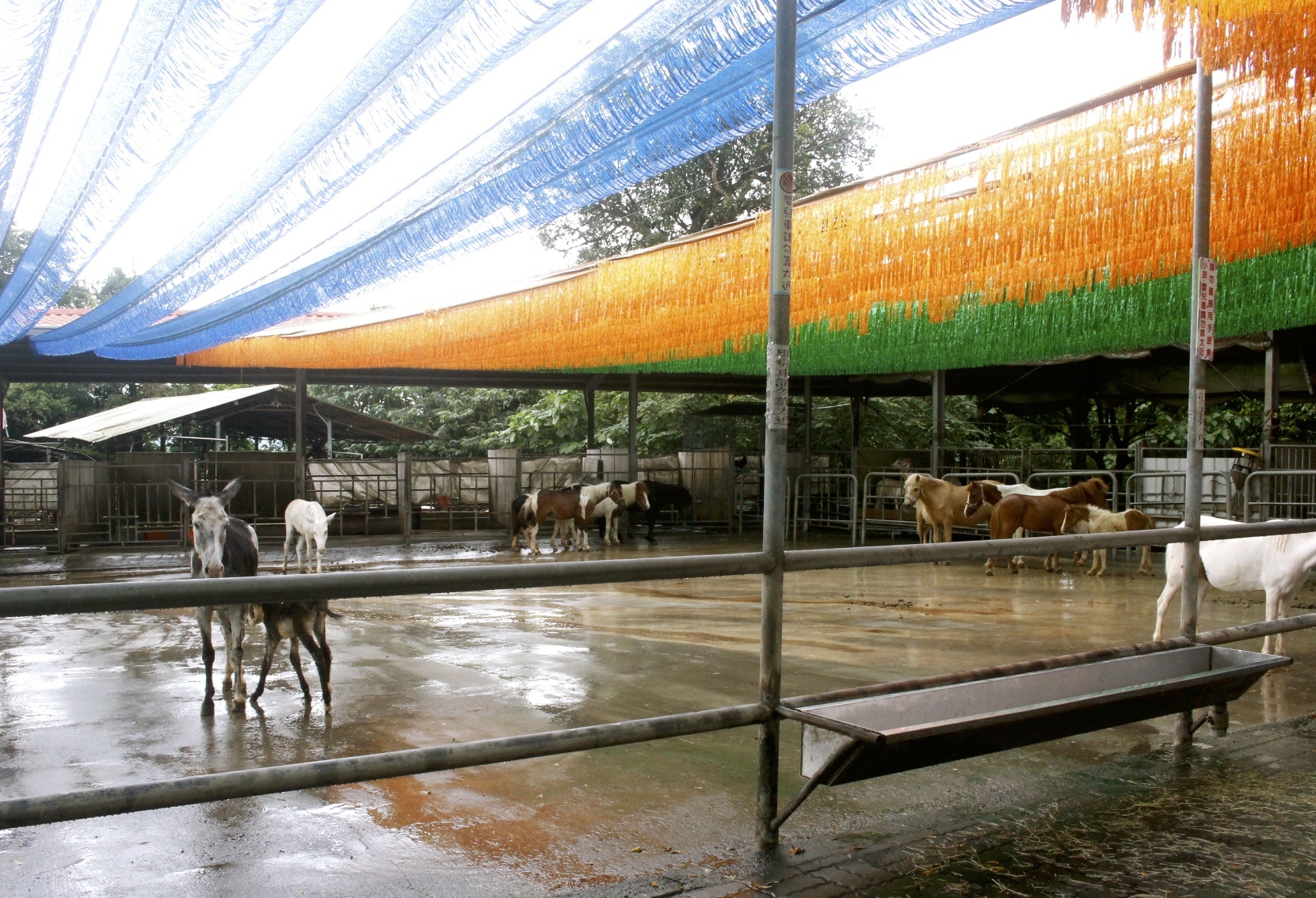 嘉義景點,獨角仙農場,親子旅遊,農場,沙坑,公園,遊戲場,小火車,動物