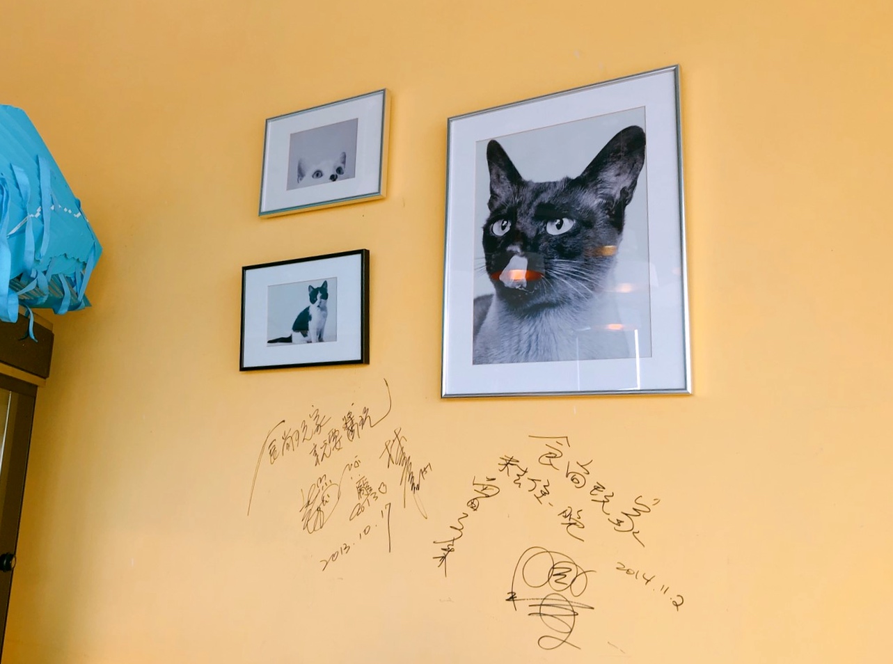 【嘉義 貓尾巴Cat’s Tail烘培坊】人氣破表烘焙店品項超多!泡芙每天熱賣上千顆連珍珠也入餡 【嘉義 貓尾巴Cat’s Tail烘培坊】人氣破表烘焙店品項超多!泡芙每天熱賣上千顆連珍珠也入餡
