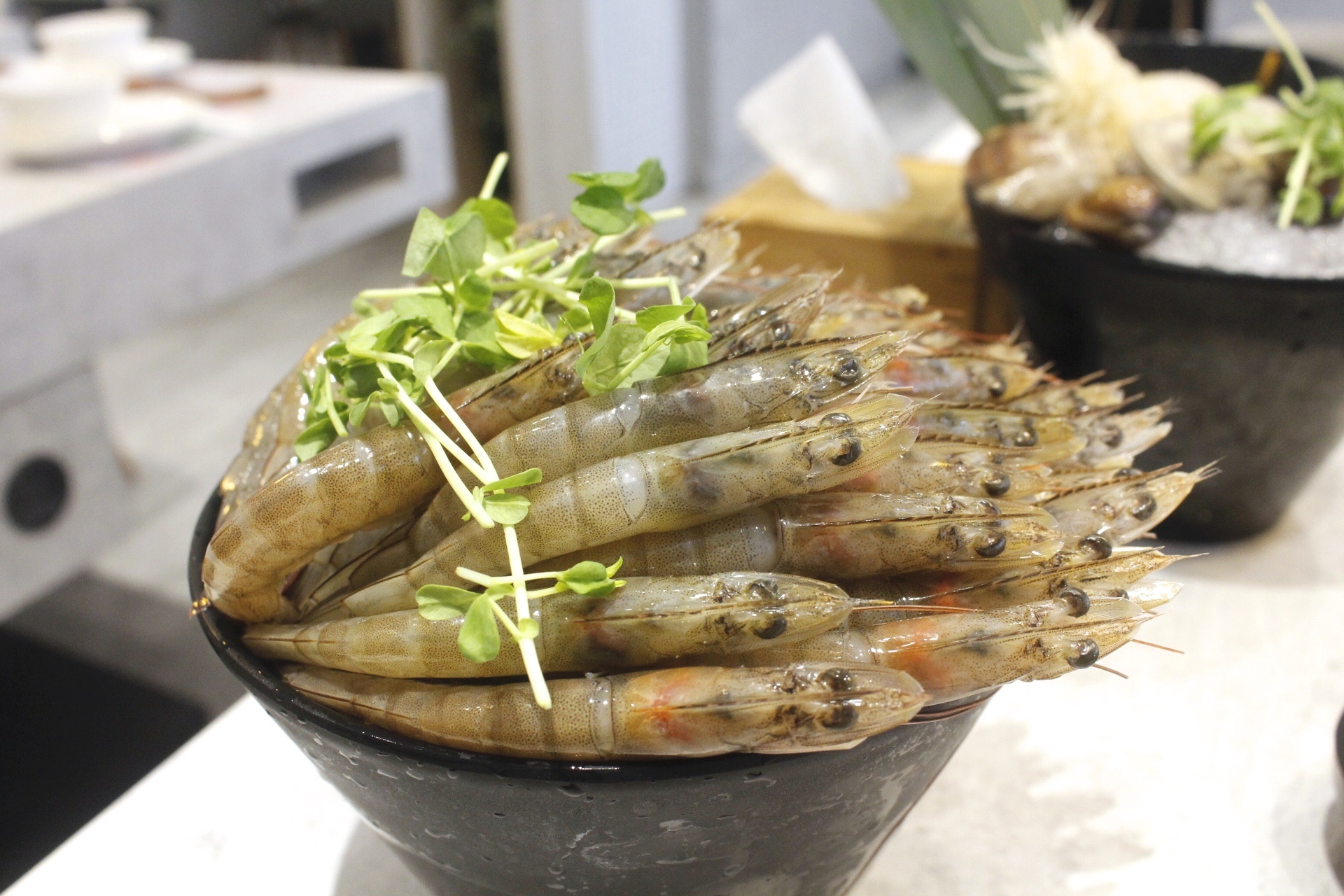 【台北 天棧鍋物】天母鍋物專賣店.壽星幾歲就送幾隻蝦?不用當天前後七天都適用! 【台北 天棧鍋物】天母鍋物專賣店.壽星幾歲就送幾隻蝦?不用當天前後七天都適用!
