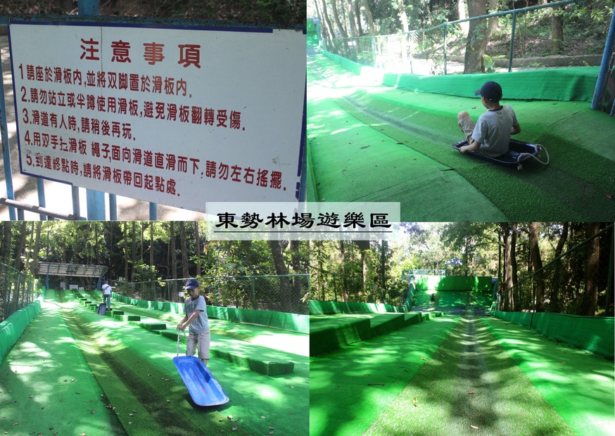【台中 東勢林場】中部最大體能訓練區「滑索鞦韆、滑草、超長溜滑梯」還有森之湯泡足、甲蟲區喔! 【台中 東勢林場】中部最大體能訓練區「滑索鞦韆、滑草、超長溜滑梯」還有森之湯泡足、甲蟲區喔!