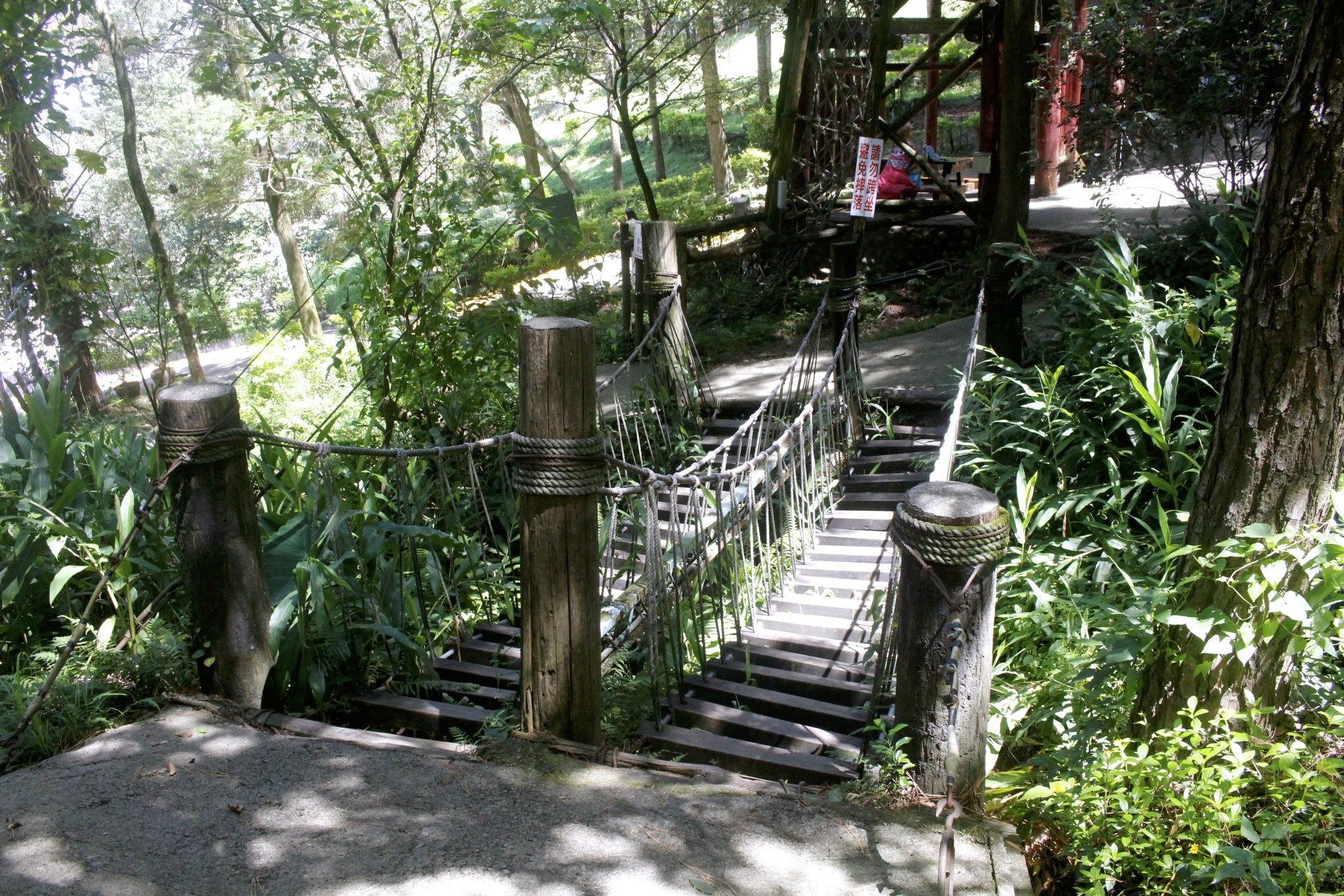 【台中 東勢林場】中部最大體能訓練區「滑索鞦韆、滑草、超長溜滑梯」還有森之湯泡足、甲蟲區喔! 【台中 東勢林場】中部最大體能訓練區「滑索鞦韆、滑草、超長溜滑梯」還有森之湯泡足、甲蟲區喔!