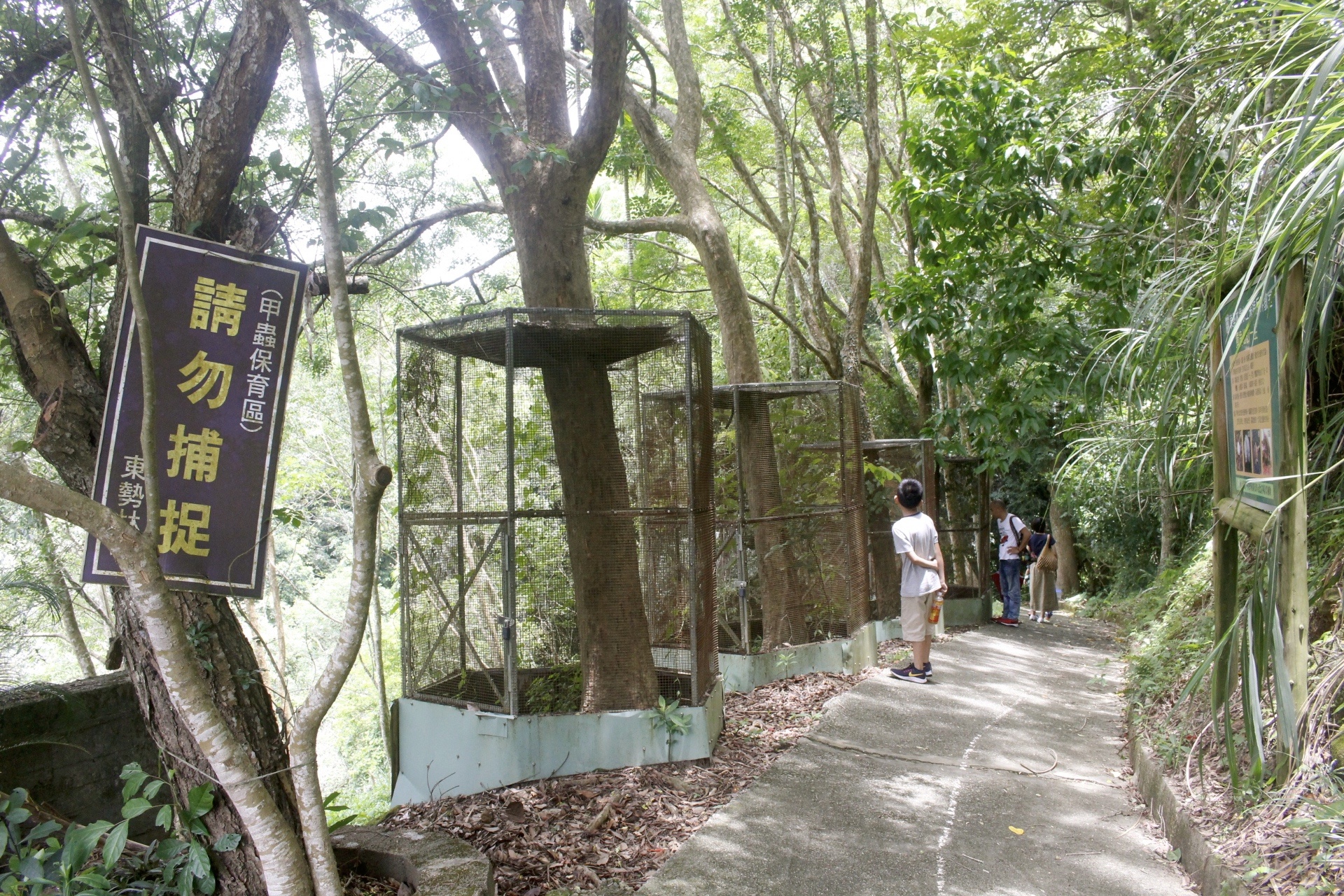 【台中 東勢林場】中部最大體能訓練區「滑索鞦韆、滑草、超長溜滑梯」還有森之湯泡足、甲蟲區喔! 【台中 東勢林場】中部最大體能訓練區「滑索鞦韆、滑草、超長溜滑梯」還有森之湯泡足、甲蟲區喔!