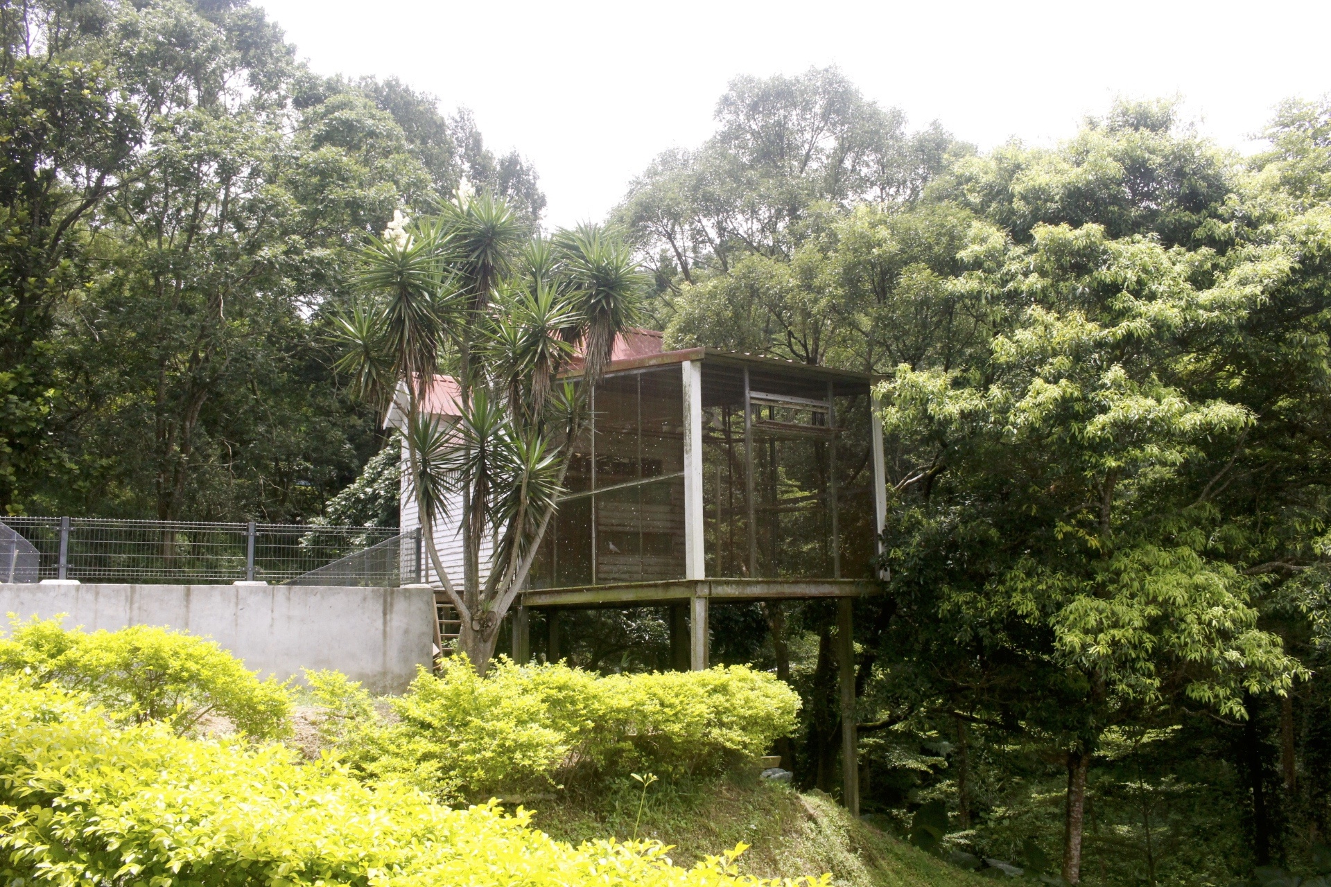 【台中 東勢林場】中部最大體能訓練區「滑索鞦韆、滑草、超長溜滑梯」還有森之湯泡足、甲蟲區喔! 【台中 東勢林場】中部最大體能訓練區「滑索鞦韆、滑草、超長溜滑梯」還有森之湯泡足、甲蟲區喔!