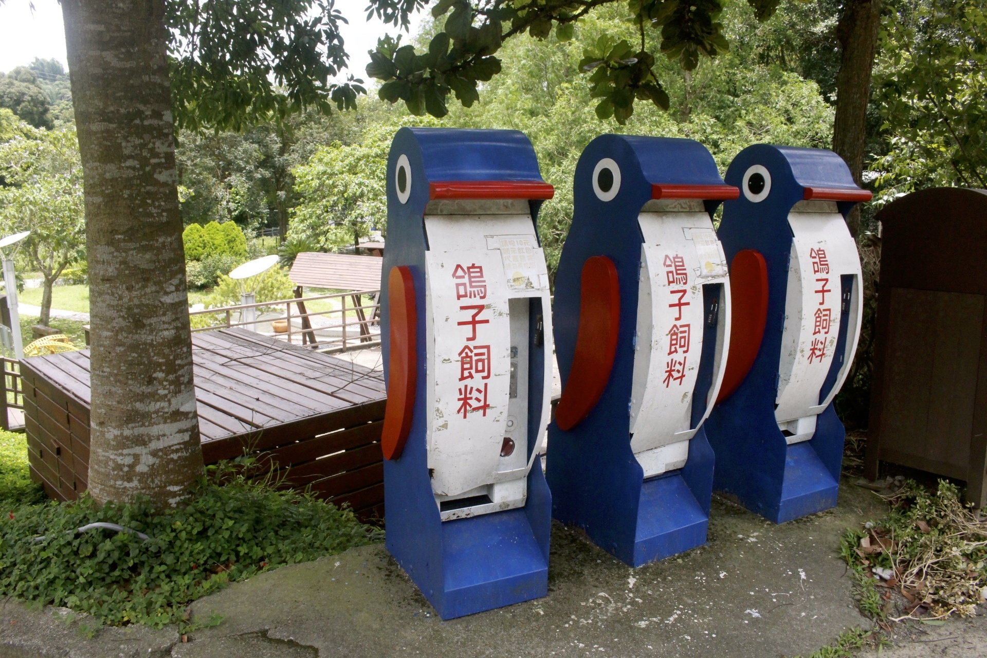【台中 東勢林場】中部最大體能訓練區「滑索鞦韆、滑草、超長溜滑梯」還有森之湯泡足、甲蟲區喔! 【台中 東勢林場】中部最大體能訓練區「滑索鞦韆、滑草、超長溜滑梯」還有森之湯泡足、甲蟲區喔!