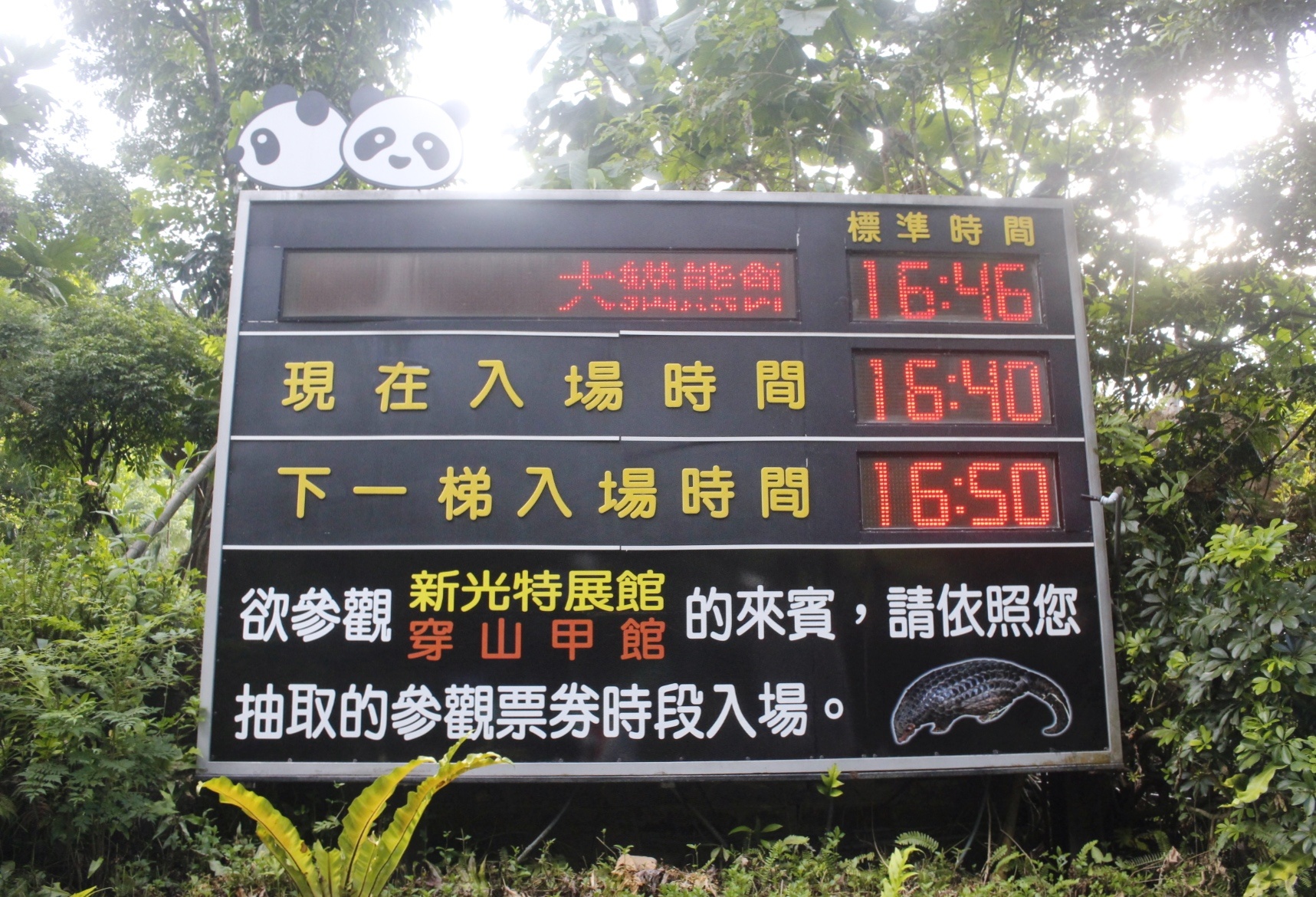 【台北 Taipei Zoo木柵動物園】暑期新館！經歷13年、斥資3.9億打造24公尺高「熱帶雨林」館，平日時間自由進出