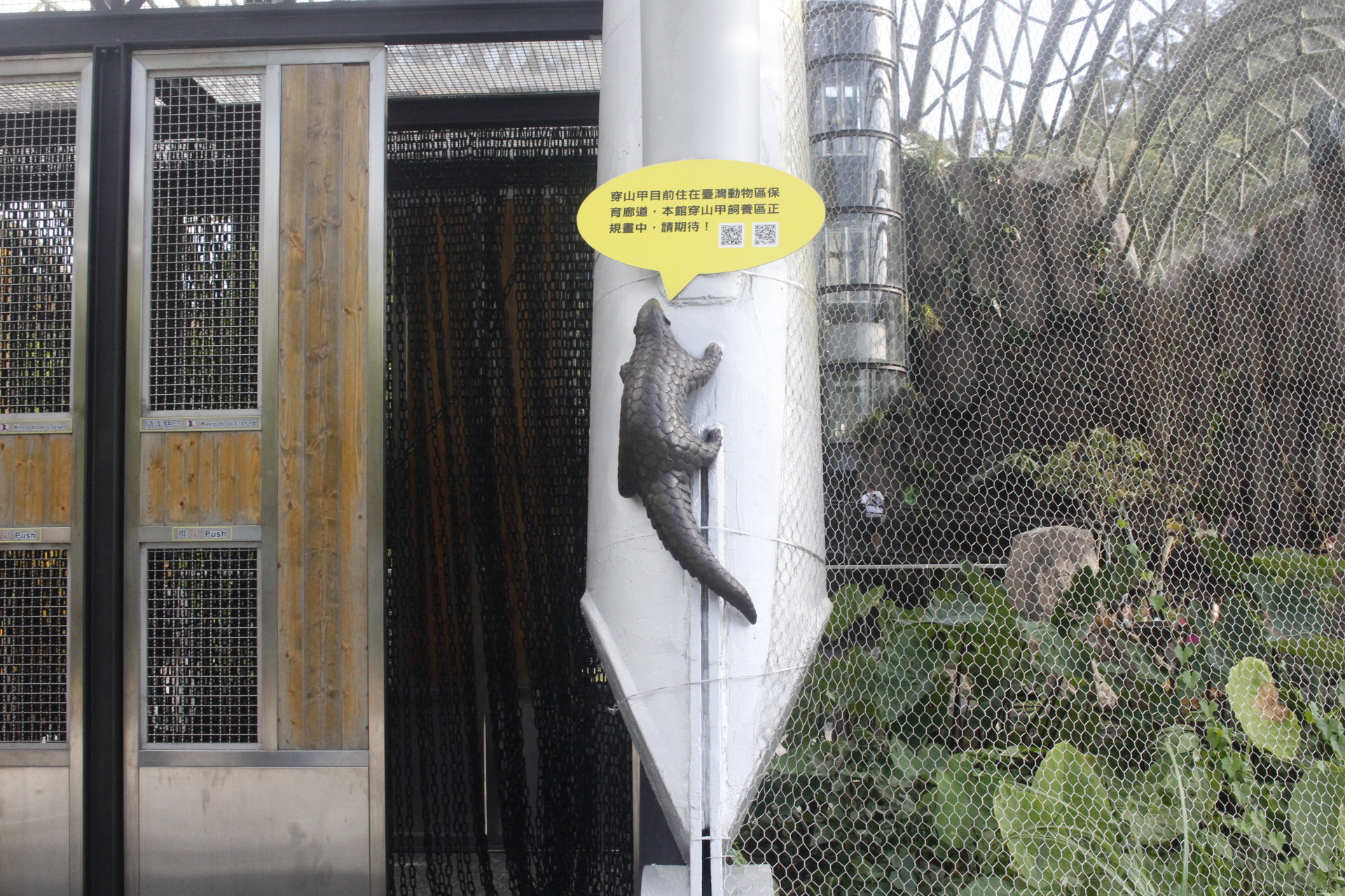 【台北 Taipei Zoo木柵動物園】暑期新館！經歷13年、斥資3.9億打造24公尺高「熱帶雨林」館，平日時間自由進出