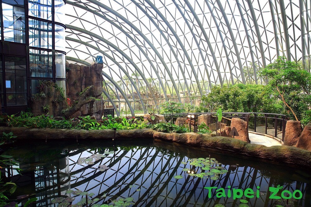 【台北 Taipei Zoo木柵動物園】暑期新館！經歷13年、斥資3.9億打造24公尺高「熱帶雨林」館，平日時間自由進出