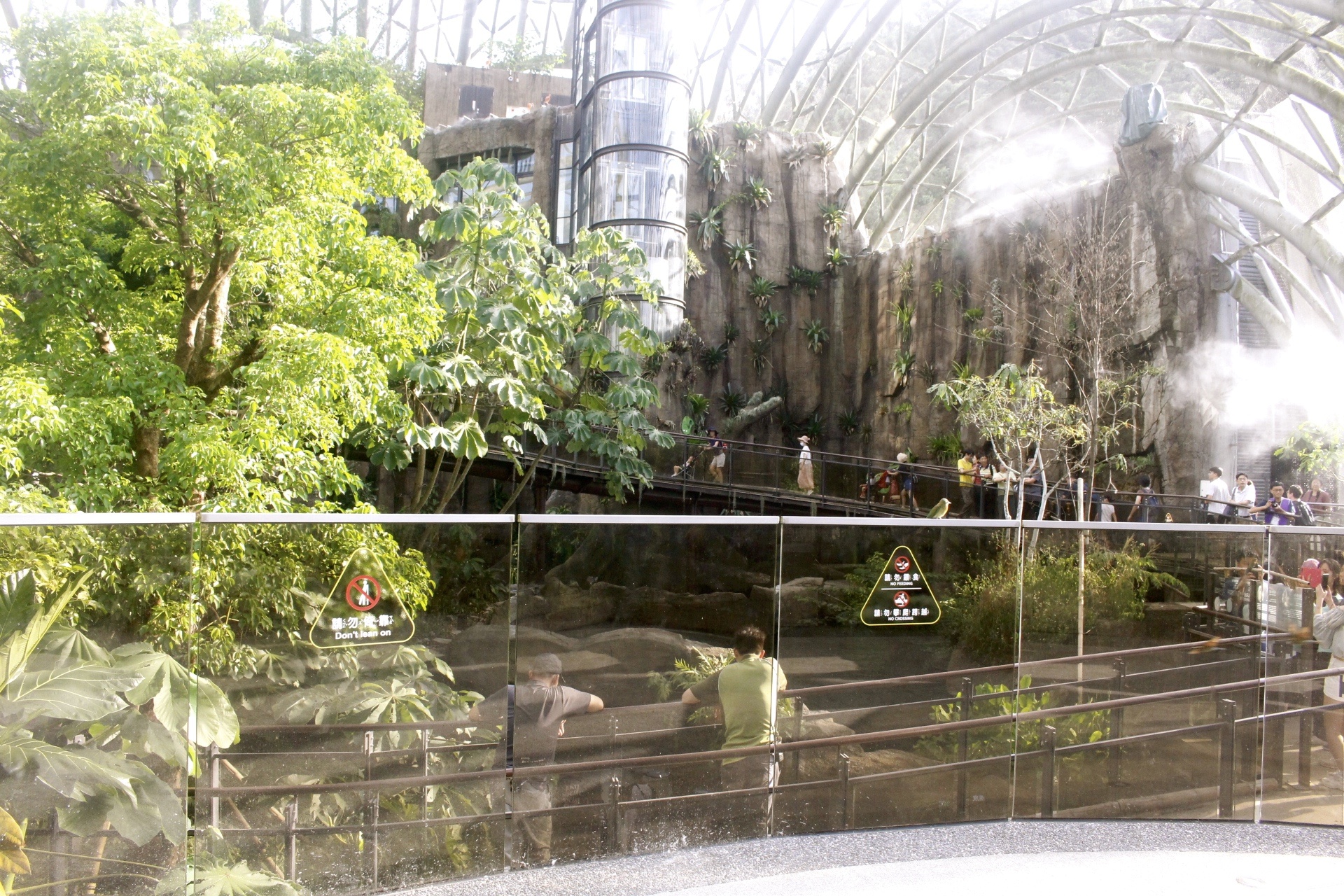 【台北 Taipei Zoo木柵動物園】暑期新館！經歷13年、斥資3.9億打造24公尺高「熱帶雨林」館，平日時間自由進出
