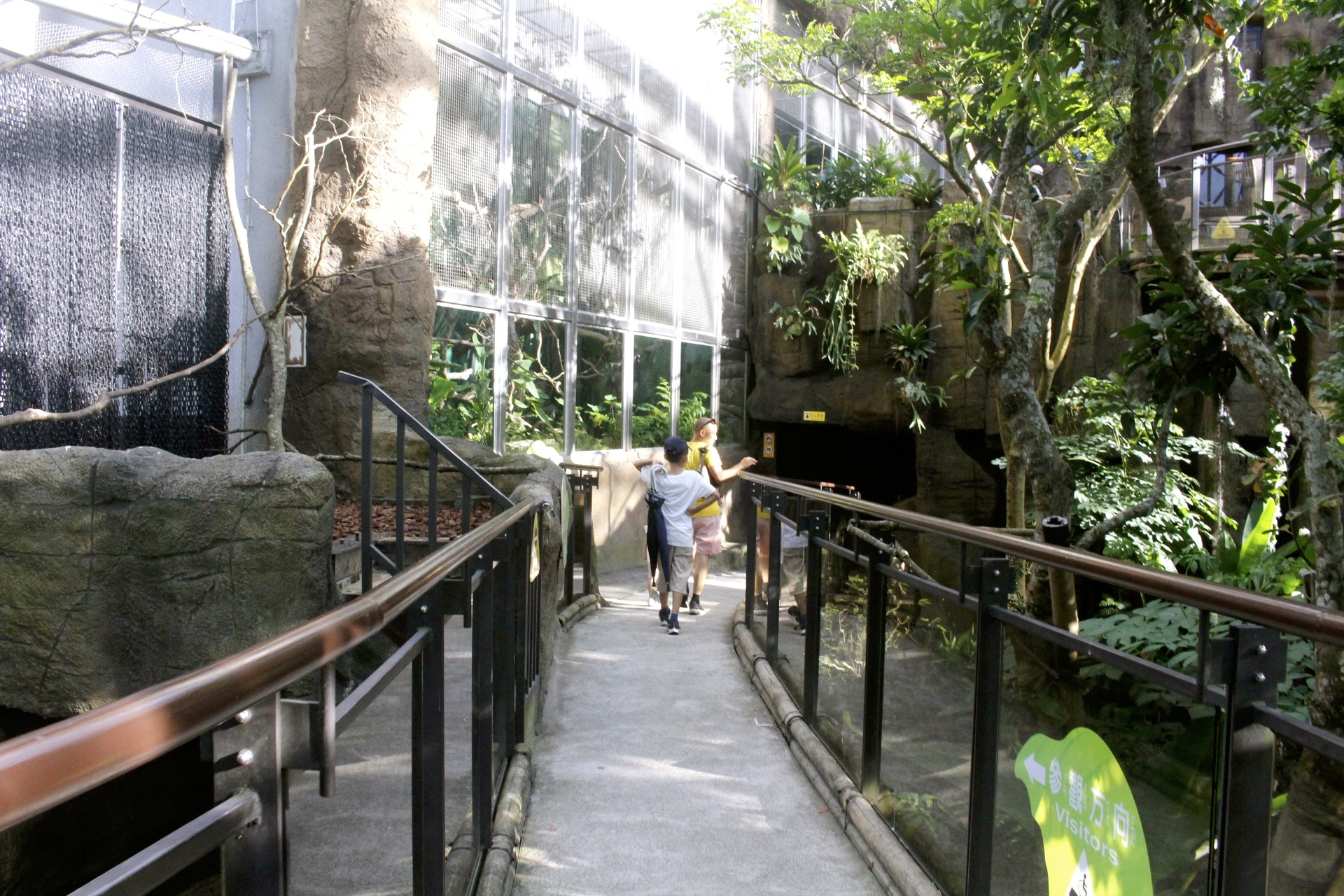 【台北 Taipei Zoo木柵動物園】暑期新館！經歷13年、斥資3.9億打造24公尺高「熱帶雨林」館，平日時間自由進出