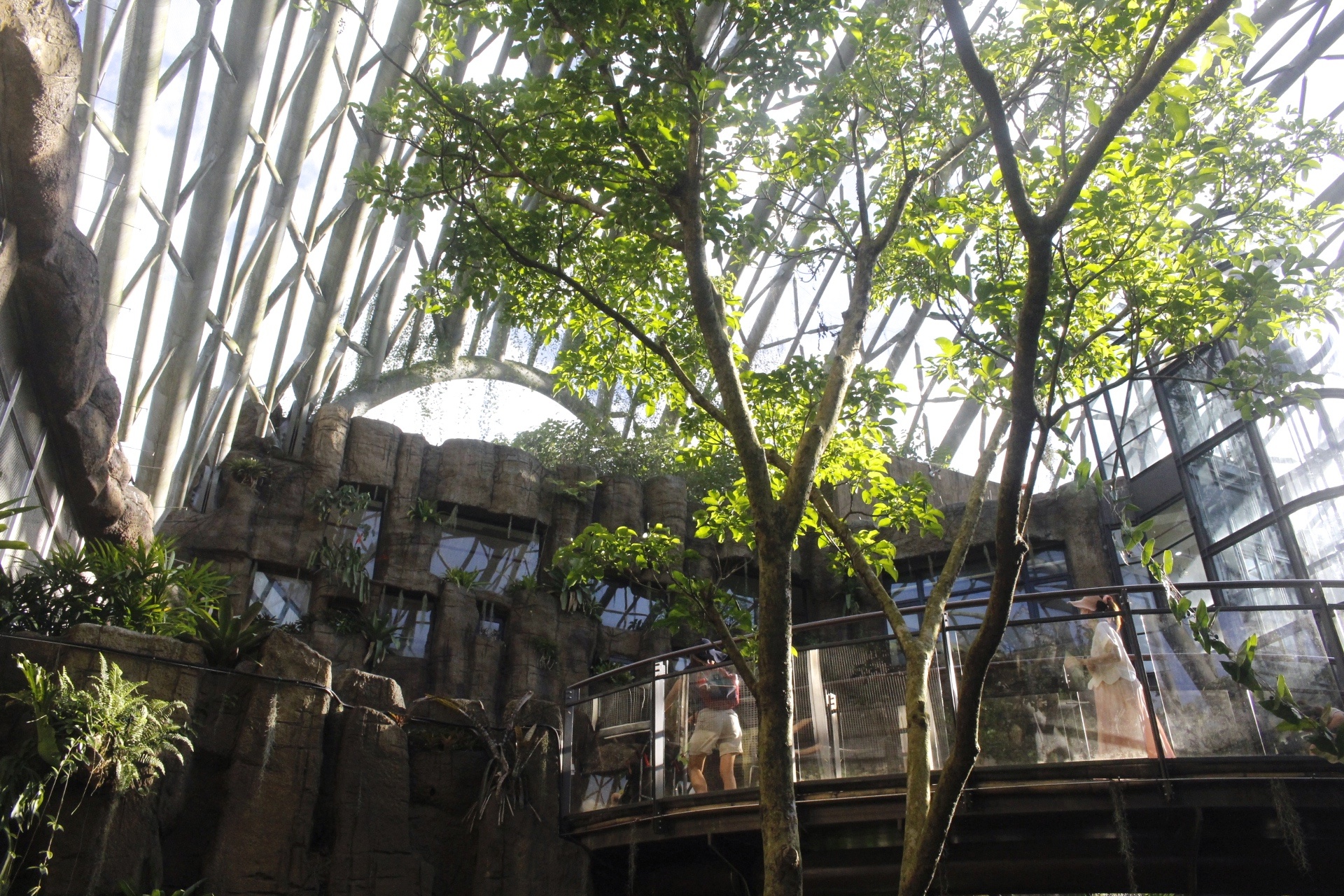 【台北 Taipei Zoo木柵動物園】暑期新館！經歷13年、斥資3.9億打造24公尺高「熱帶雨林」館，平日時間自由進出