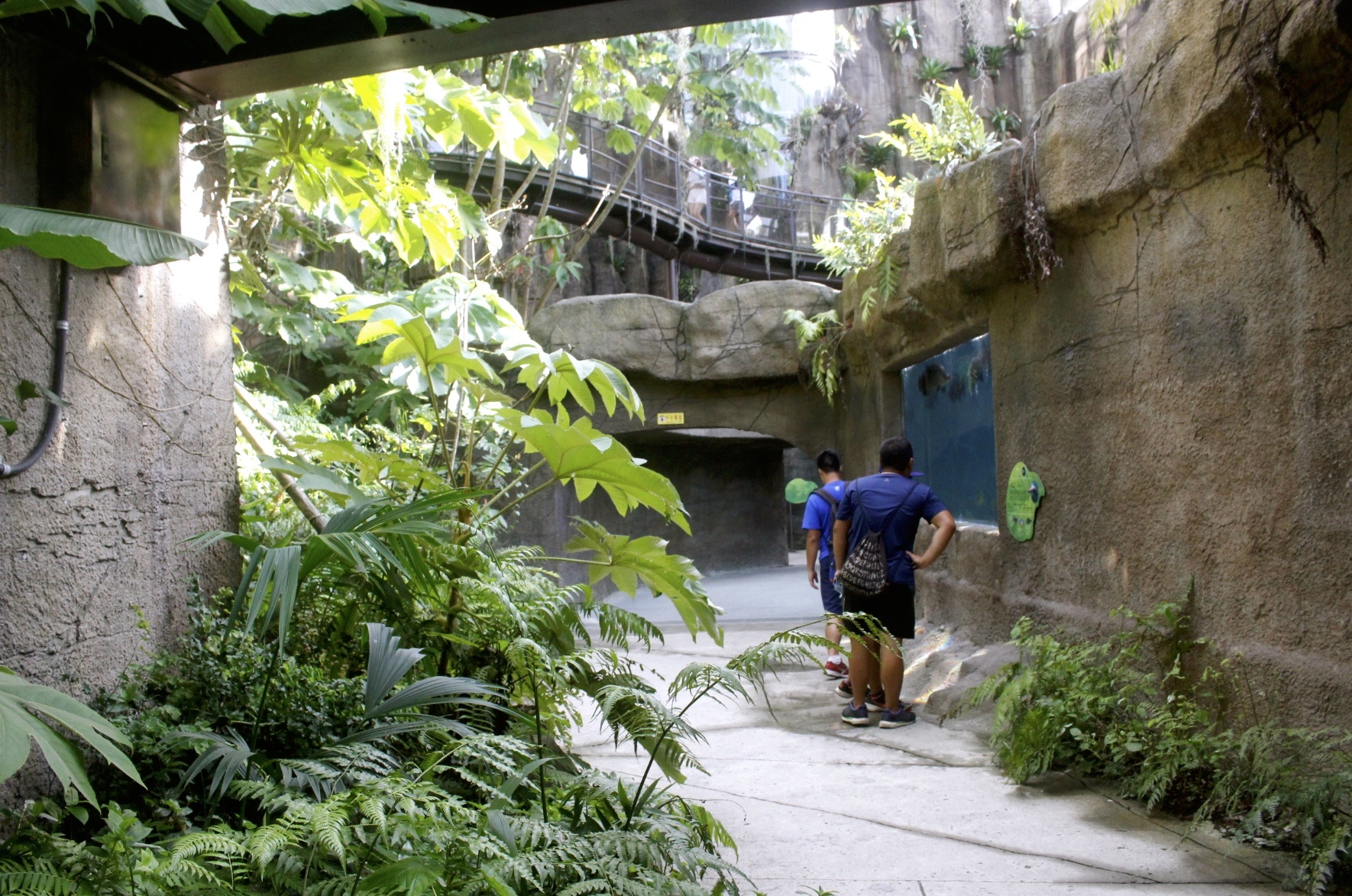 【台北 Taipei Zoo木柵動物園】暑期新館！經歷13年、斥資3.9億打造24公尺高「熱帶雨林」館，平日時間自由進出
