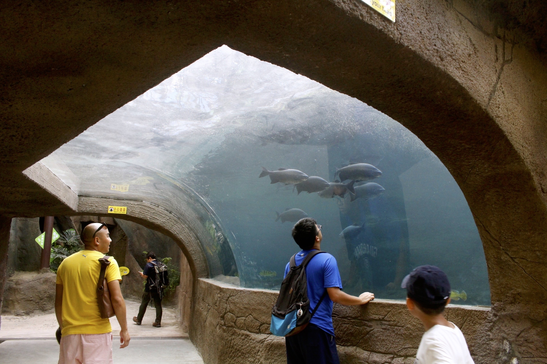 【台北 Taipei Zoo木柵動物園】暑期新館！經歷13年、斥資3.9億打造24公尺高「熱帶雨林」館，平日時間自由進出