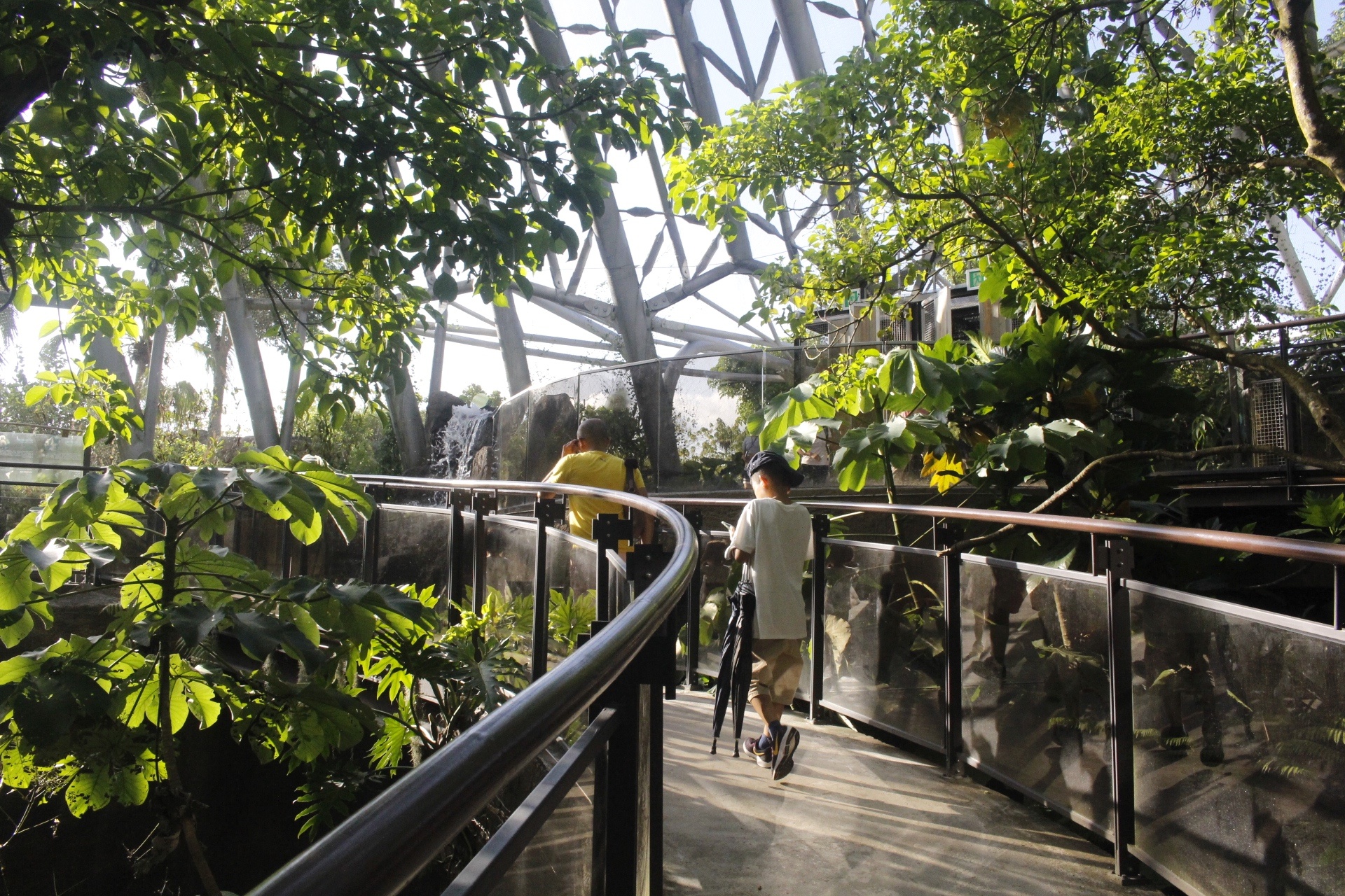 【台北 Taipei Zoo木柵動物園】暑期新館！經歷13年、斥資3.9億打造24公尺高「熱帶雨林」館，平日時間自由進出